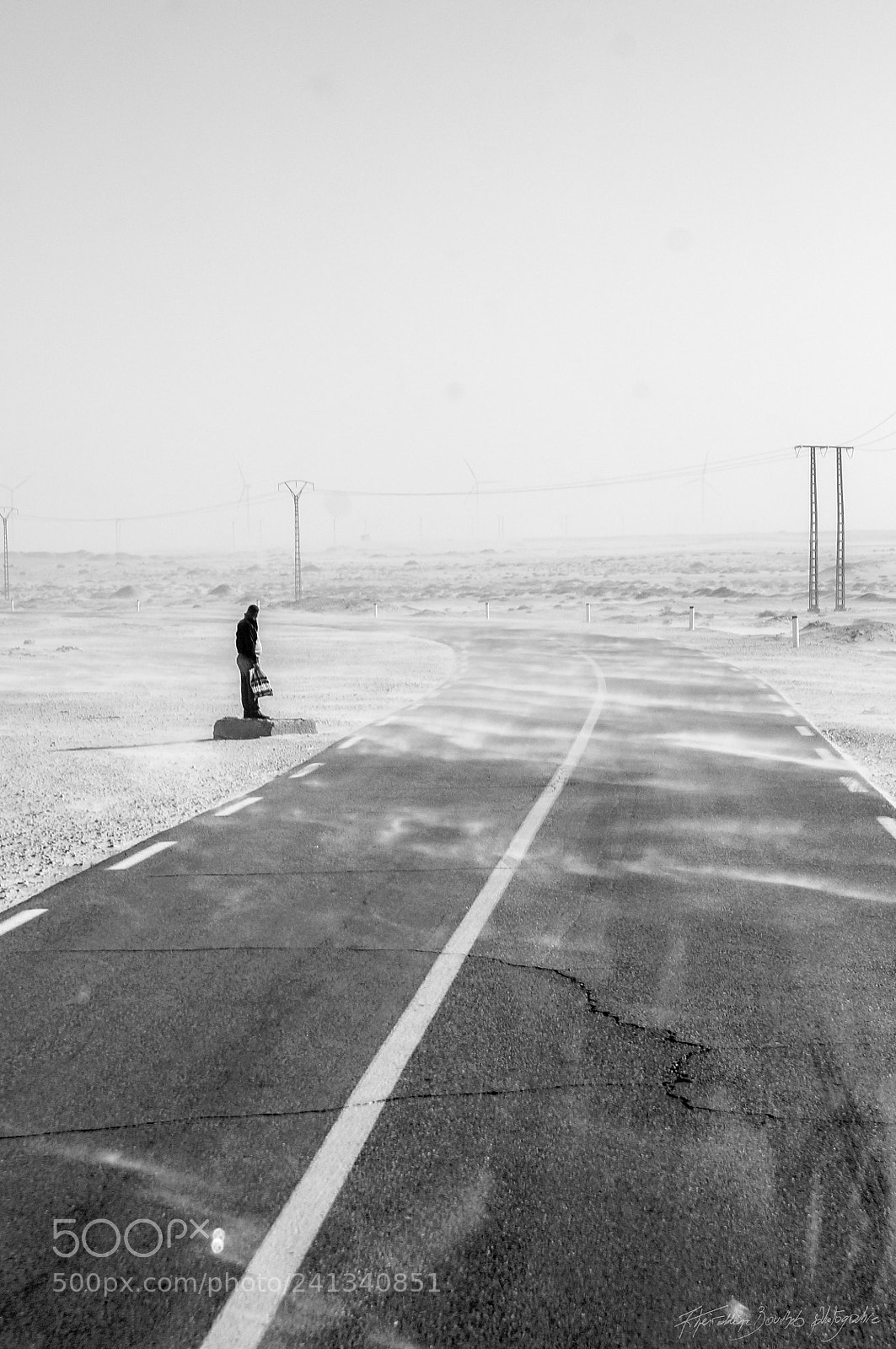 Sony SLT-A57 sample photo. Waiting in the desert photography