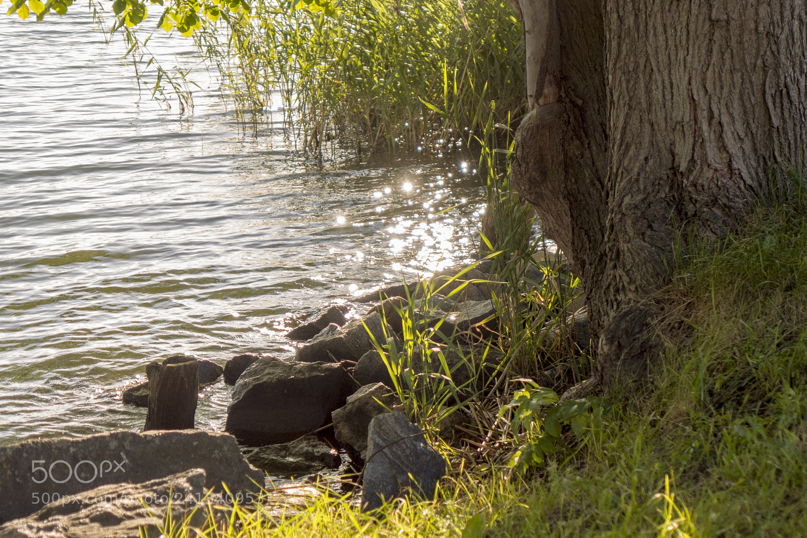 Panasonic Lumix DMC-LX7 sample photo. Riverside in stockholm photography