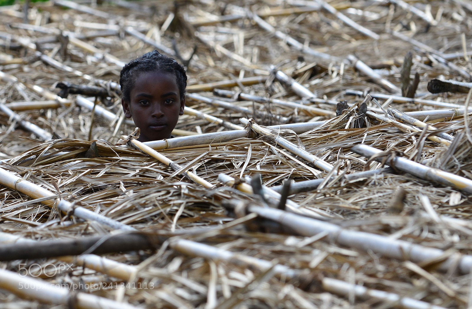 Nikon D800 sample photo. Ethiopia is beautifull photography