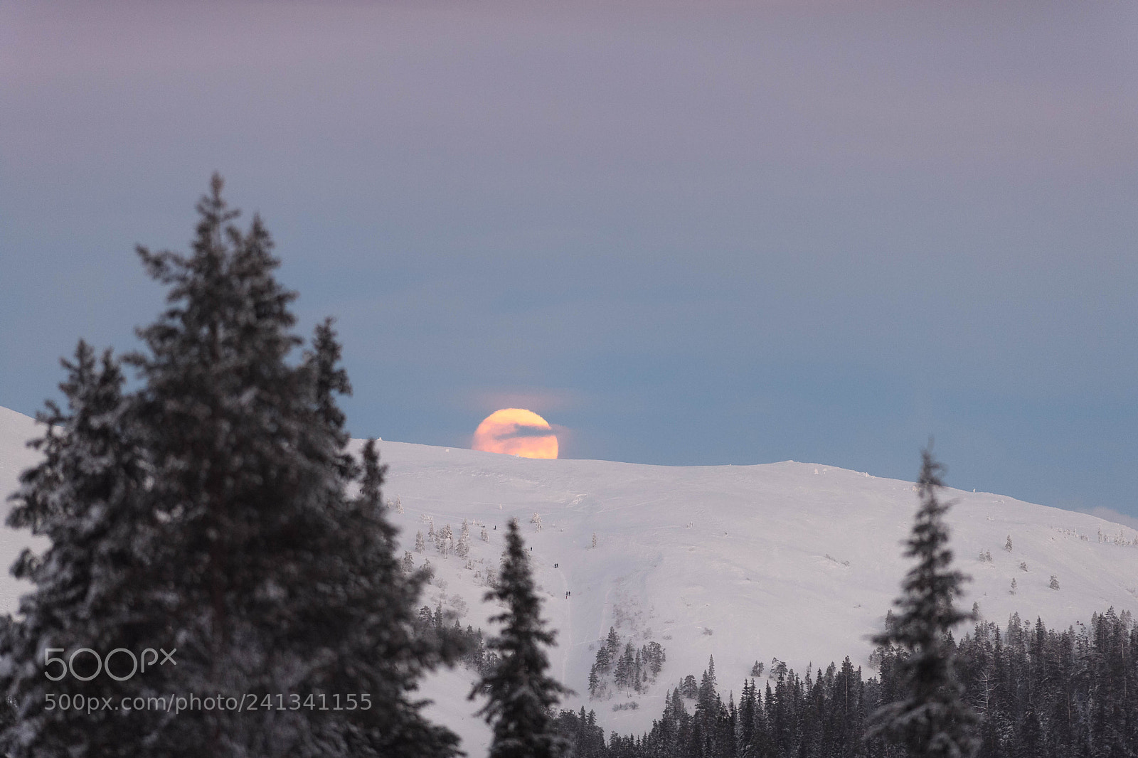 Nikon D5 sample photo. Moonrise photography