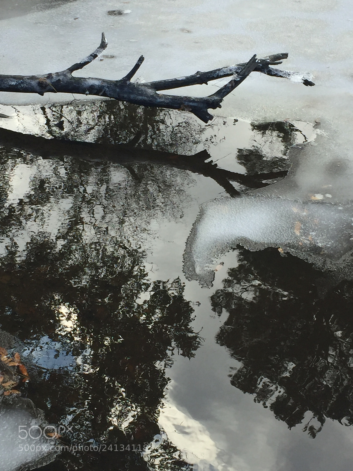 Apple iPhone 6 sample photo. Untitled photography