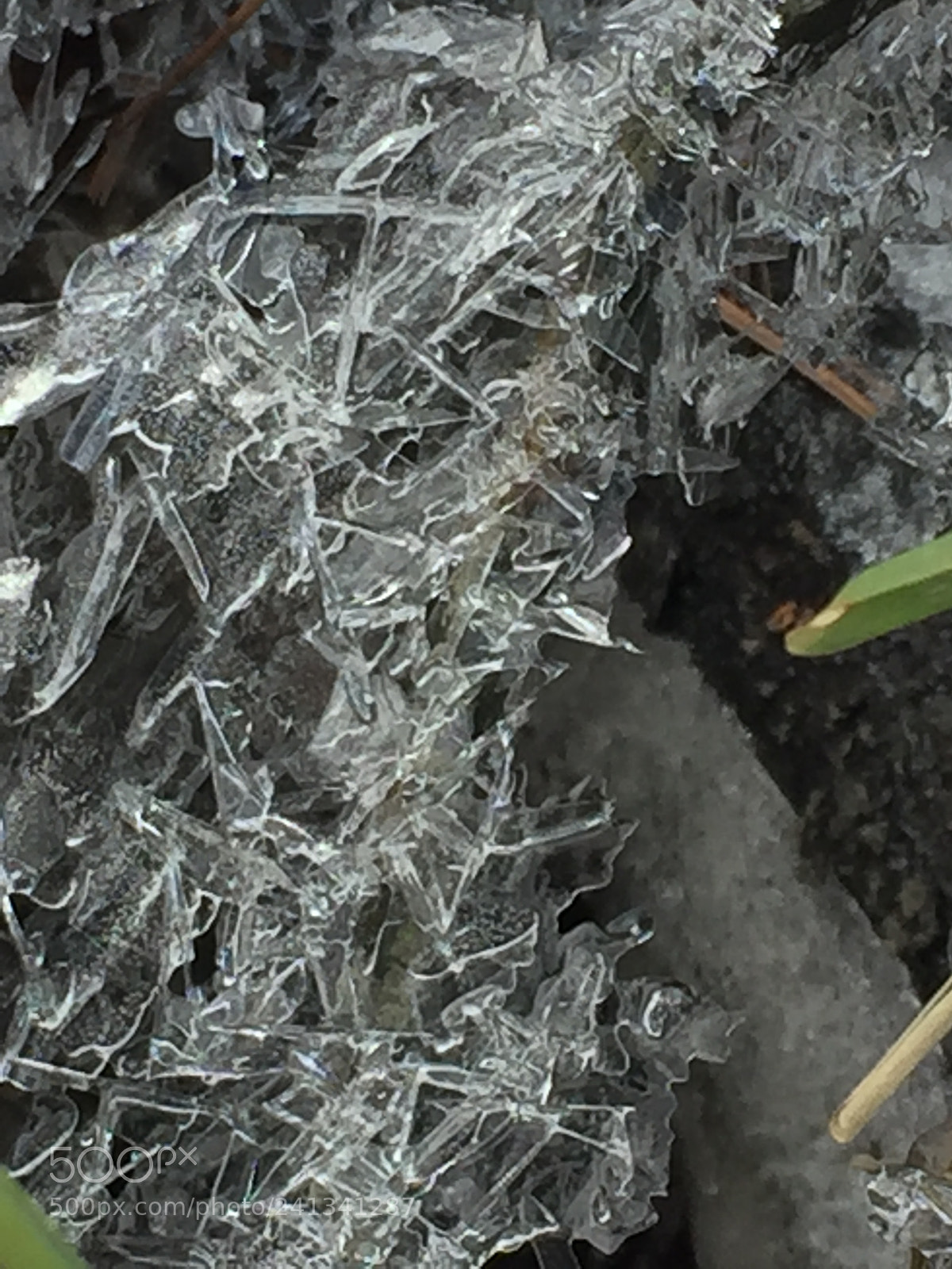 Apple iPhone 6 sample photo. Shattered photography
