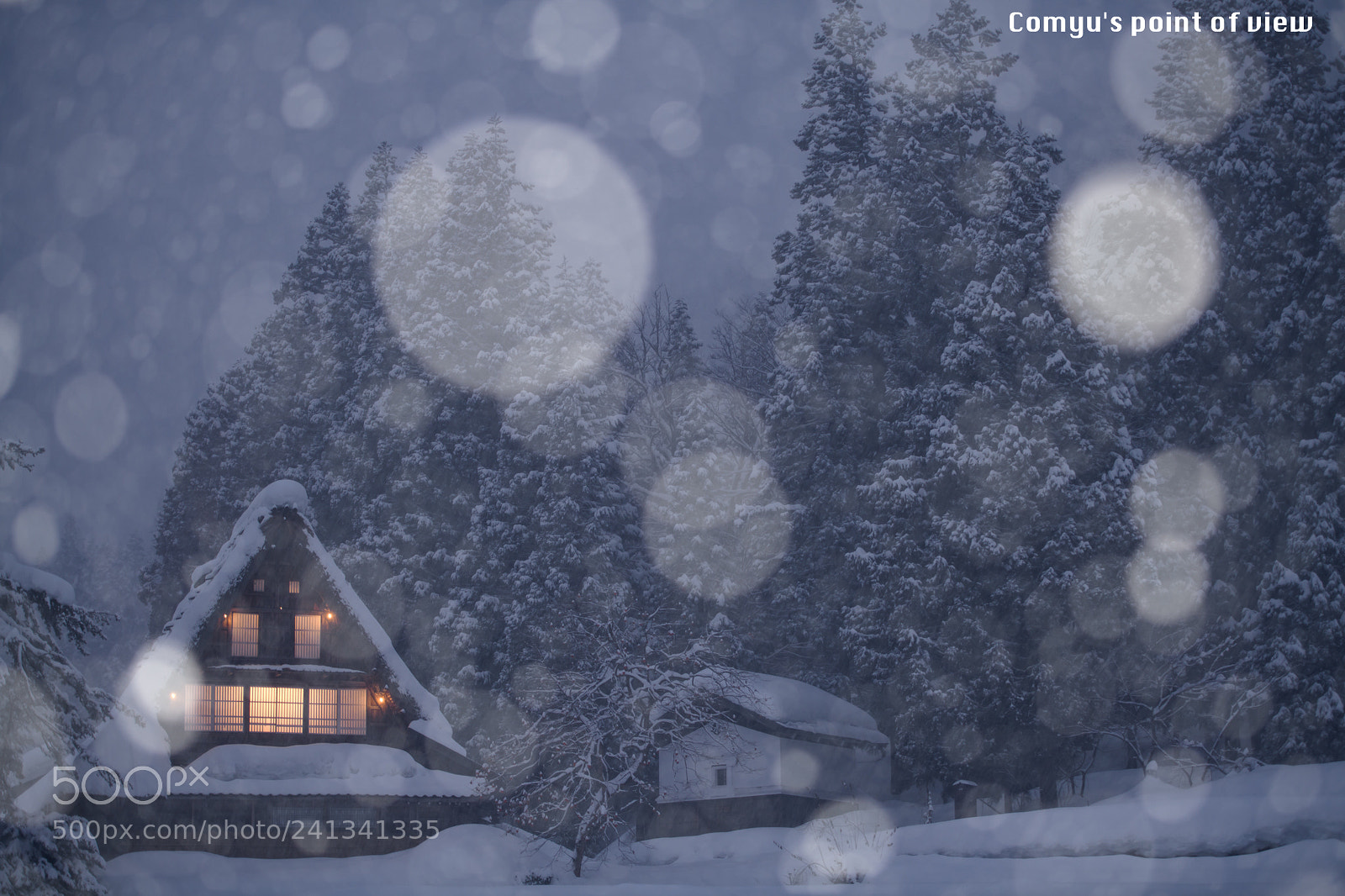 Nikon D850 sample photo. Snowing village photography