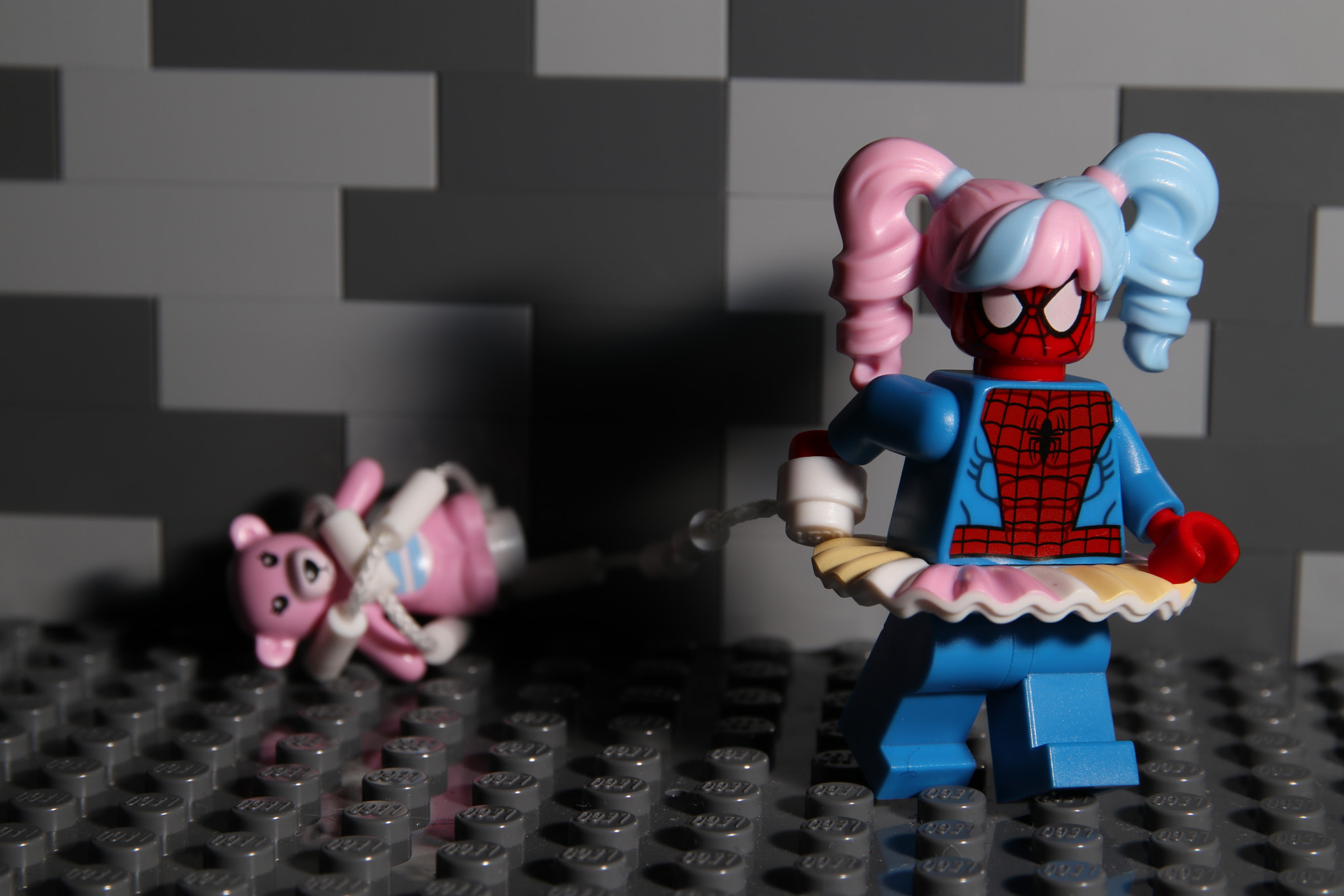 Sigma 17-70mm F2.8-4 DC Macro OS HSM sample photo. Spiderman with friend photography