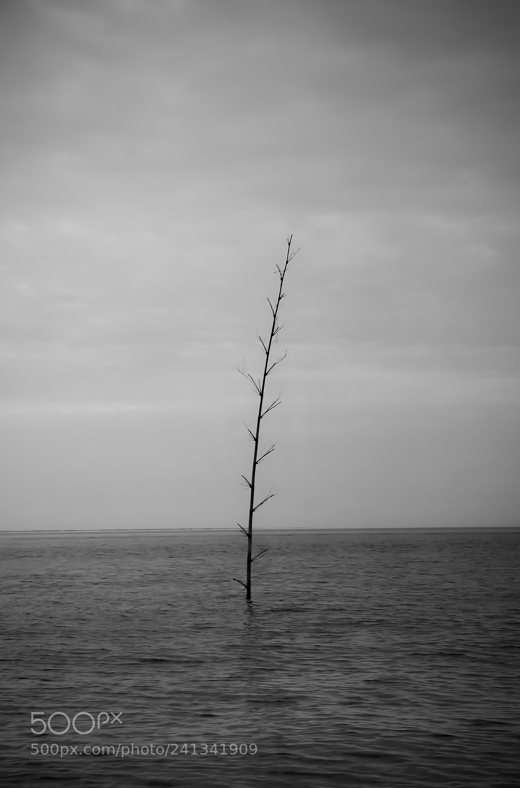 Sony Alpha NEX-5R sample photo. Towards the unknown photography