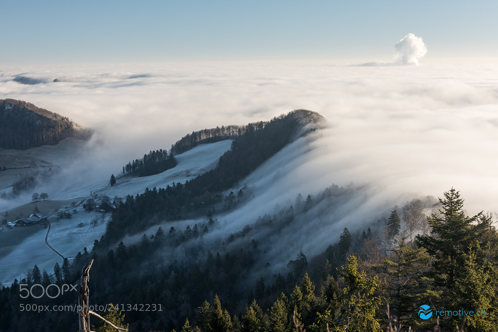 Nikon D810 sample photo. Fog wave photography