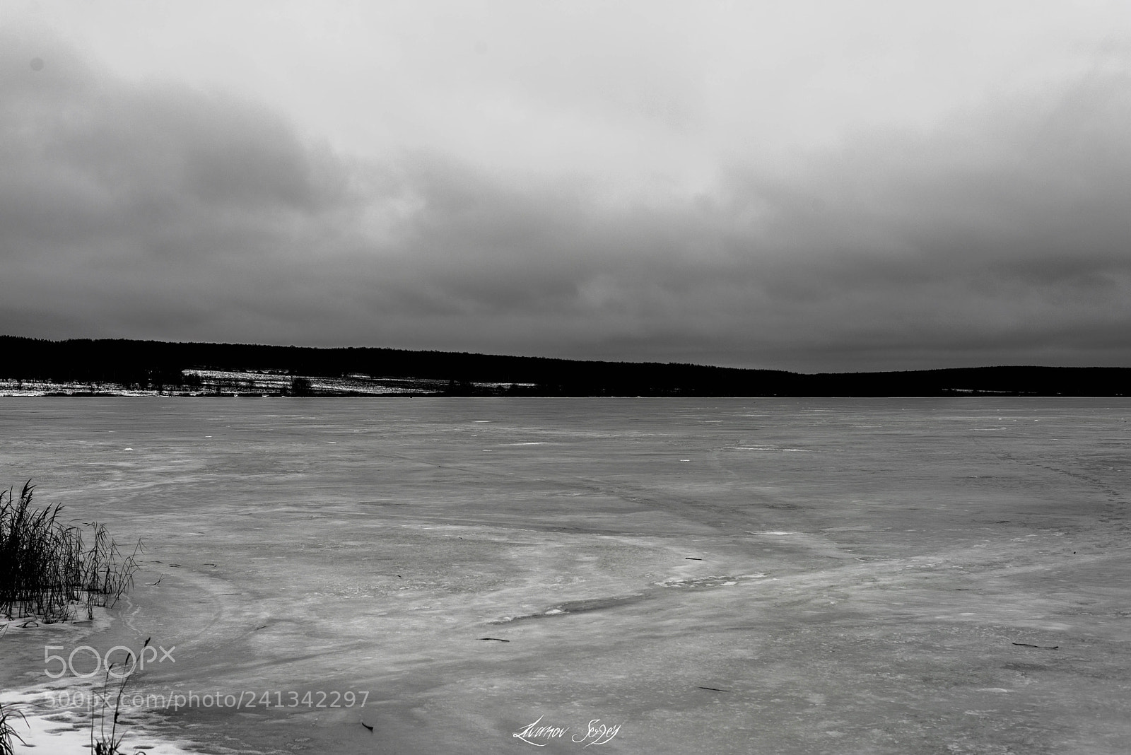 Nikon D600 sample photo. Greyness photography
