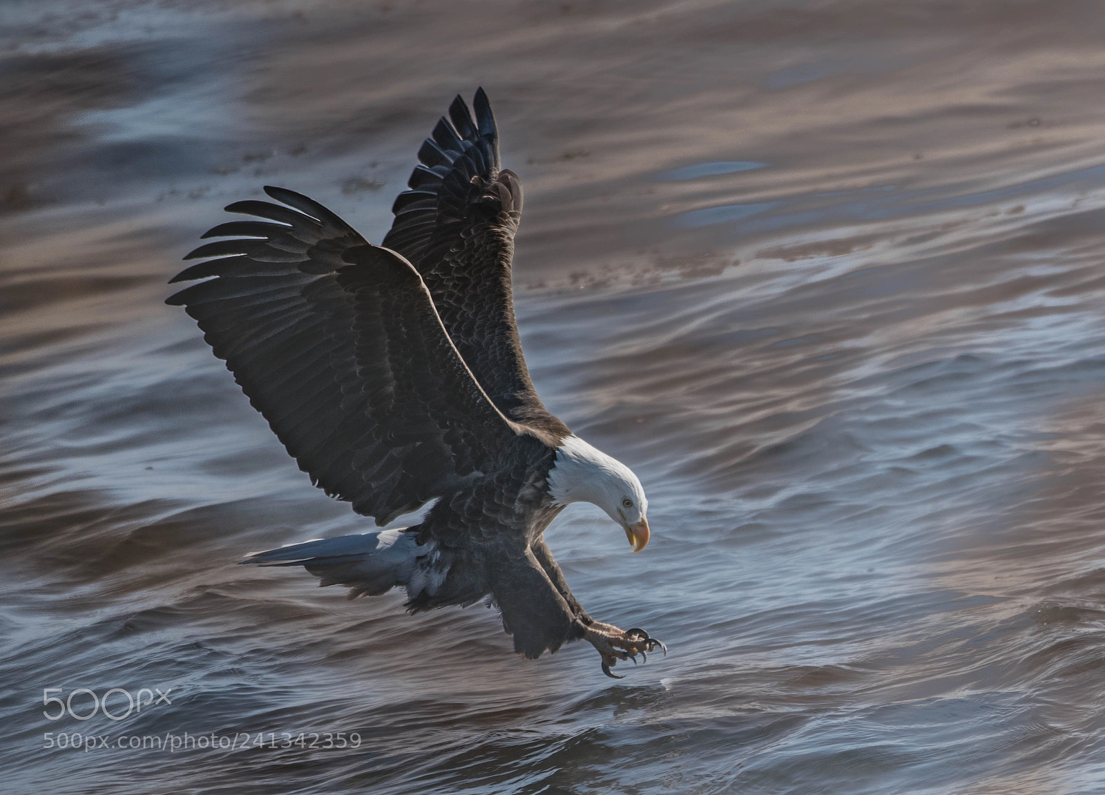 Nikon D850 sample photo. Sunrise fishing! photography