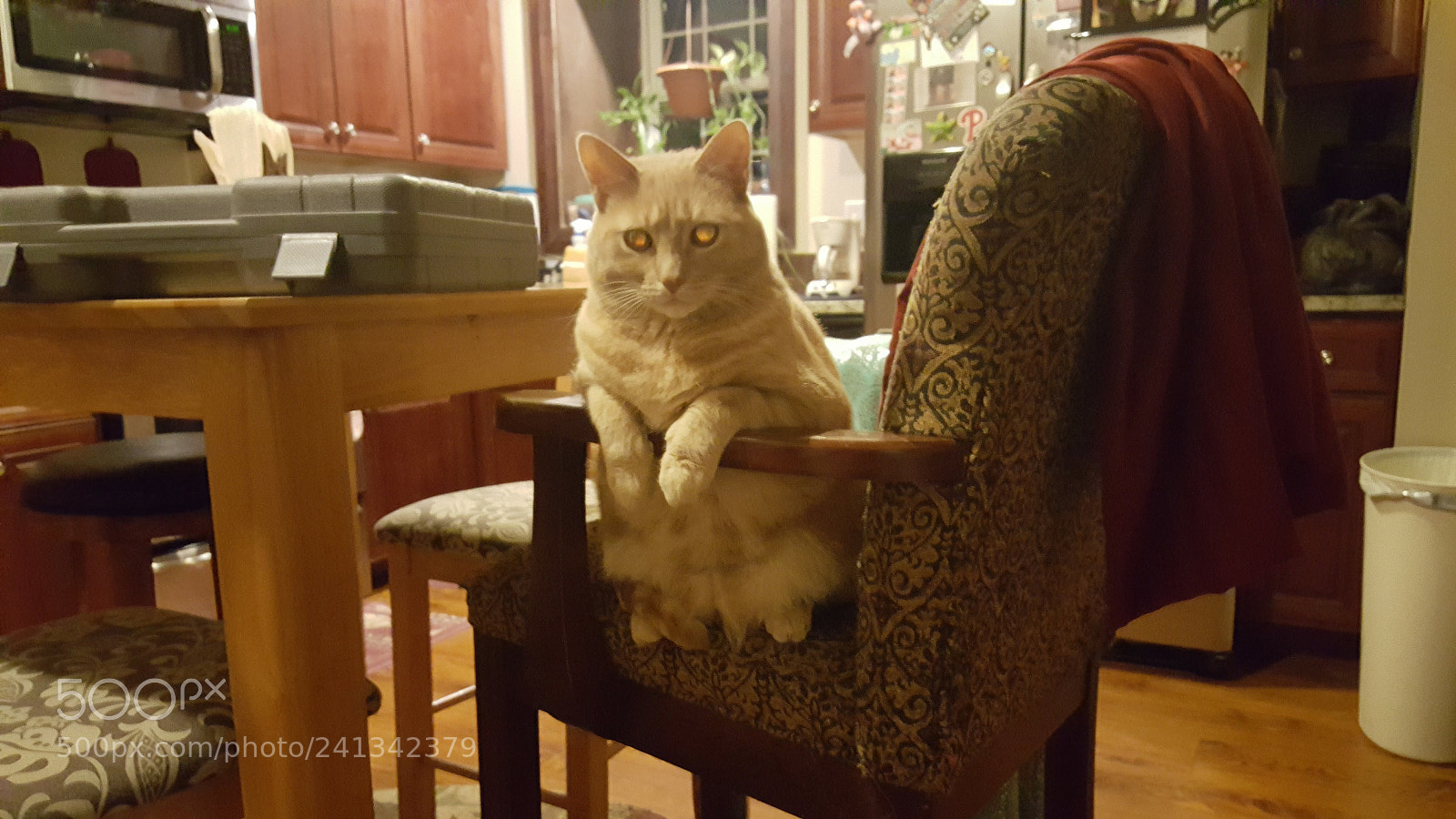 Samsung Galaxy S6 sample photo. 20171209_181748.jpg photography
