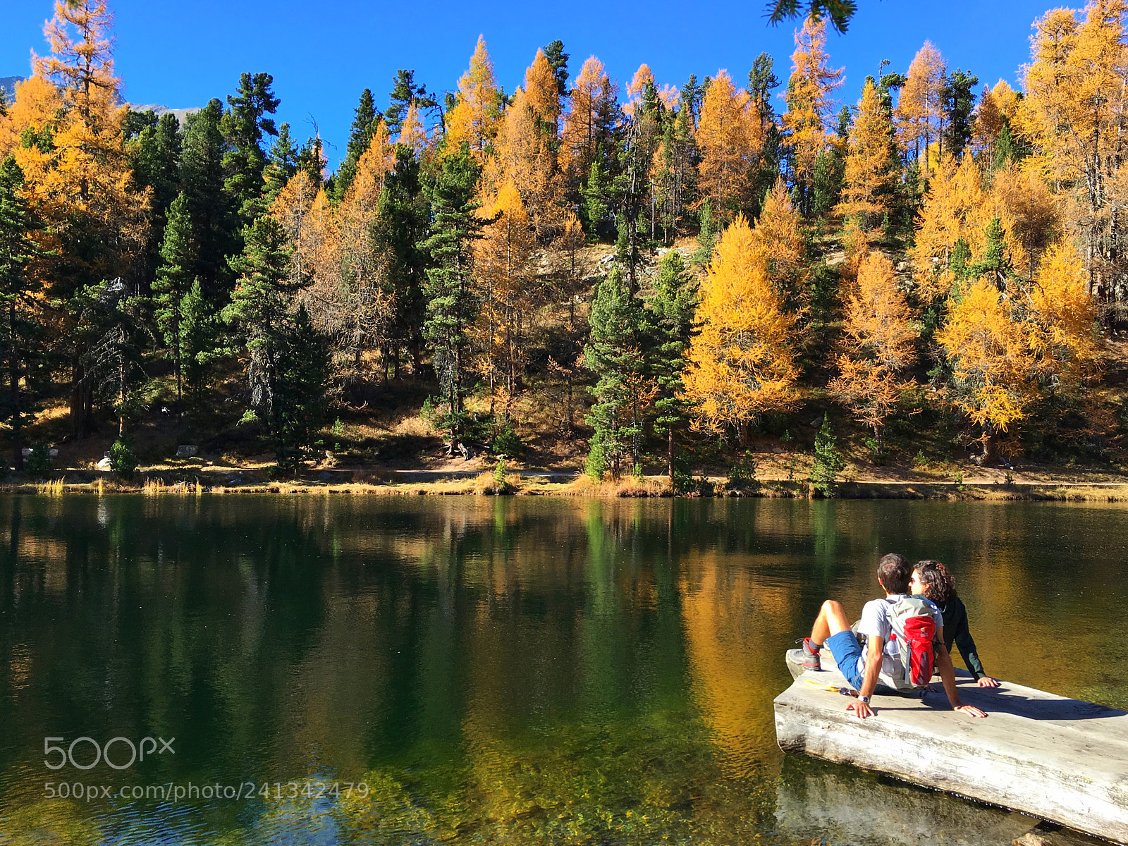 Apple iPhone 6s sample photo. Lej nair im herbst photography