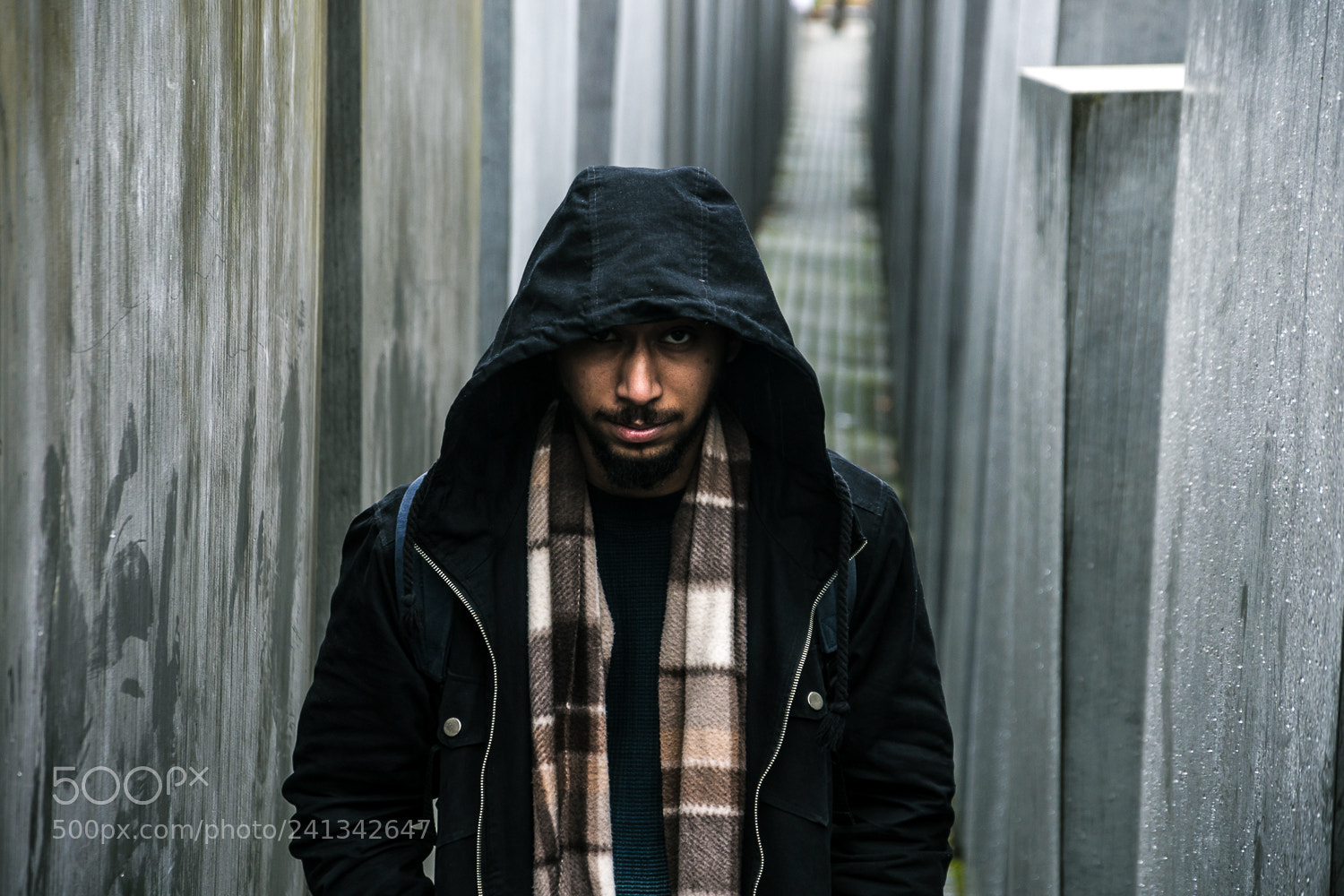 Nikon D500 sample photo. Anustup das holocaust memorial photography
