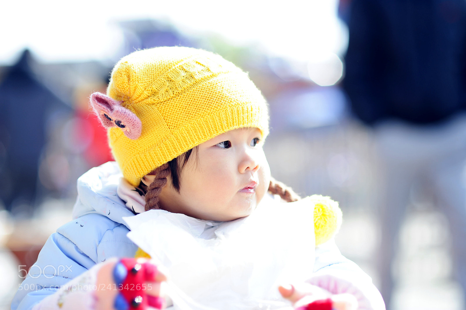 Nikon D700 sample photo. Untitled photography