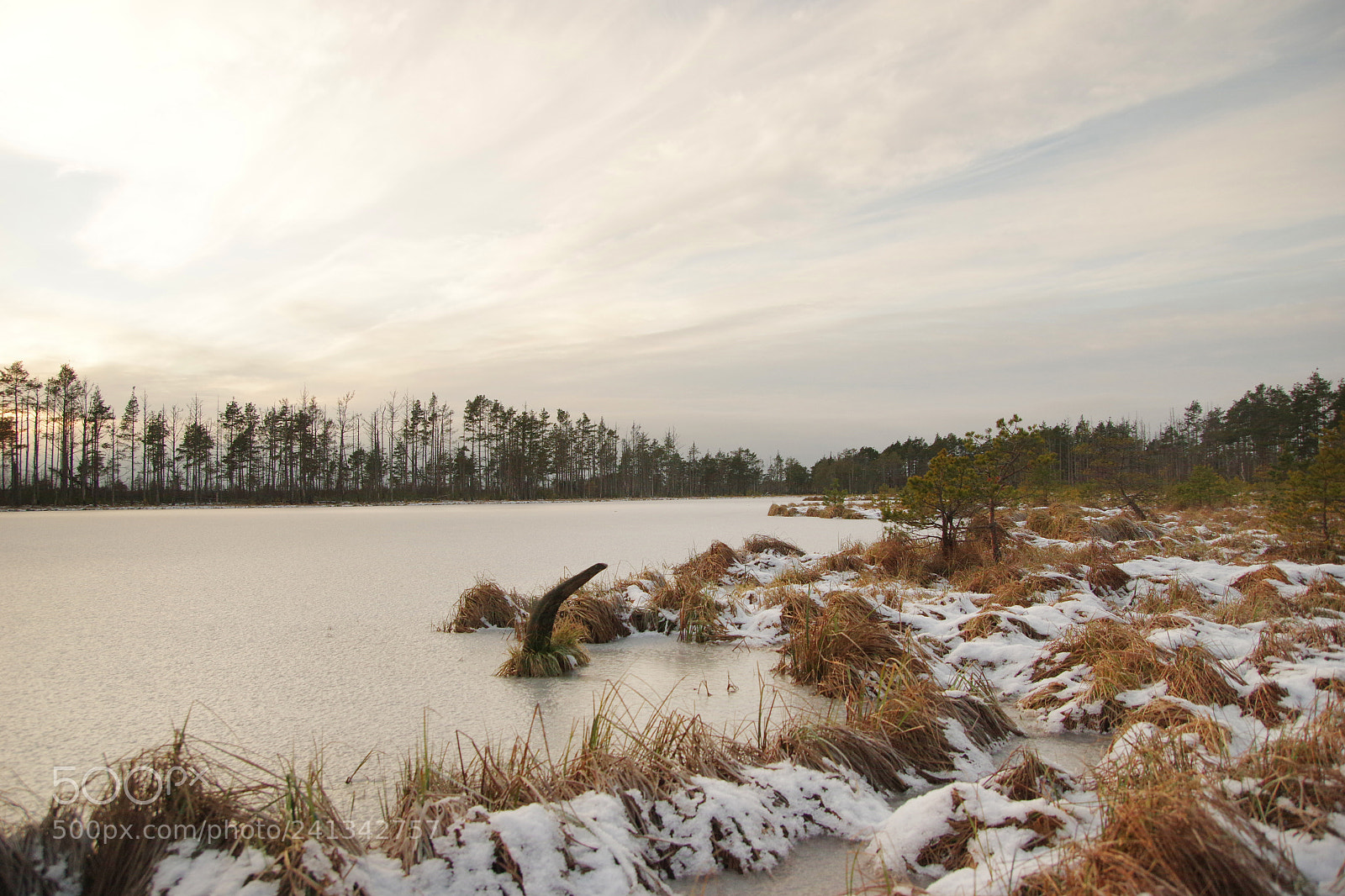 Pentax K-3 sample photo. In the m nniku photography