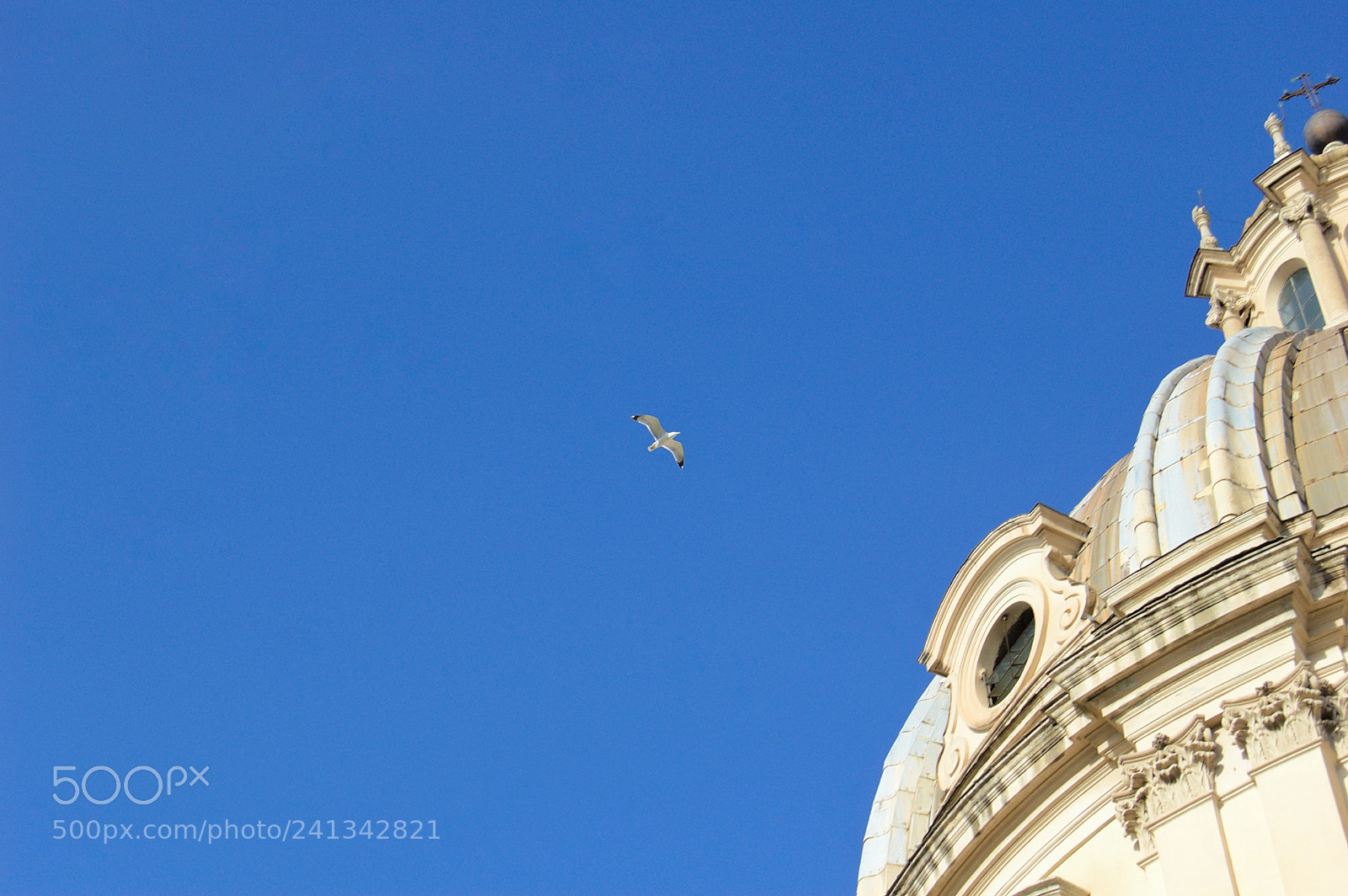 Nikon D40 sample photo. Flying. photography