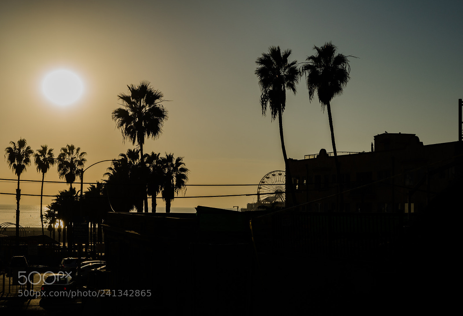 Sony a7 II sample photo. Untitled photography