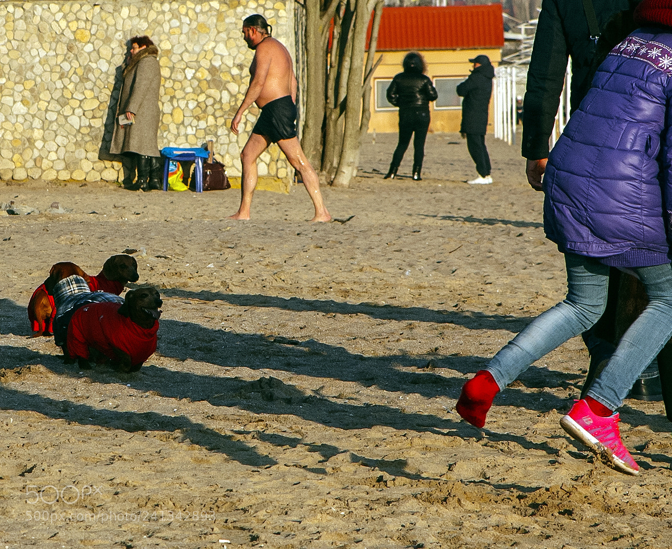 Canon EOS 5D sample photo. Untitled photography