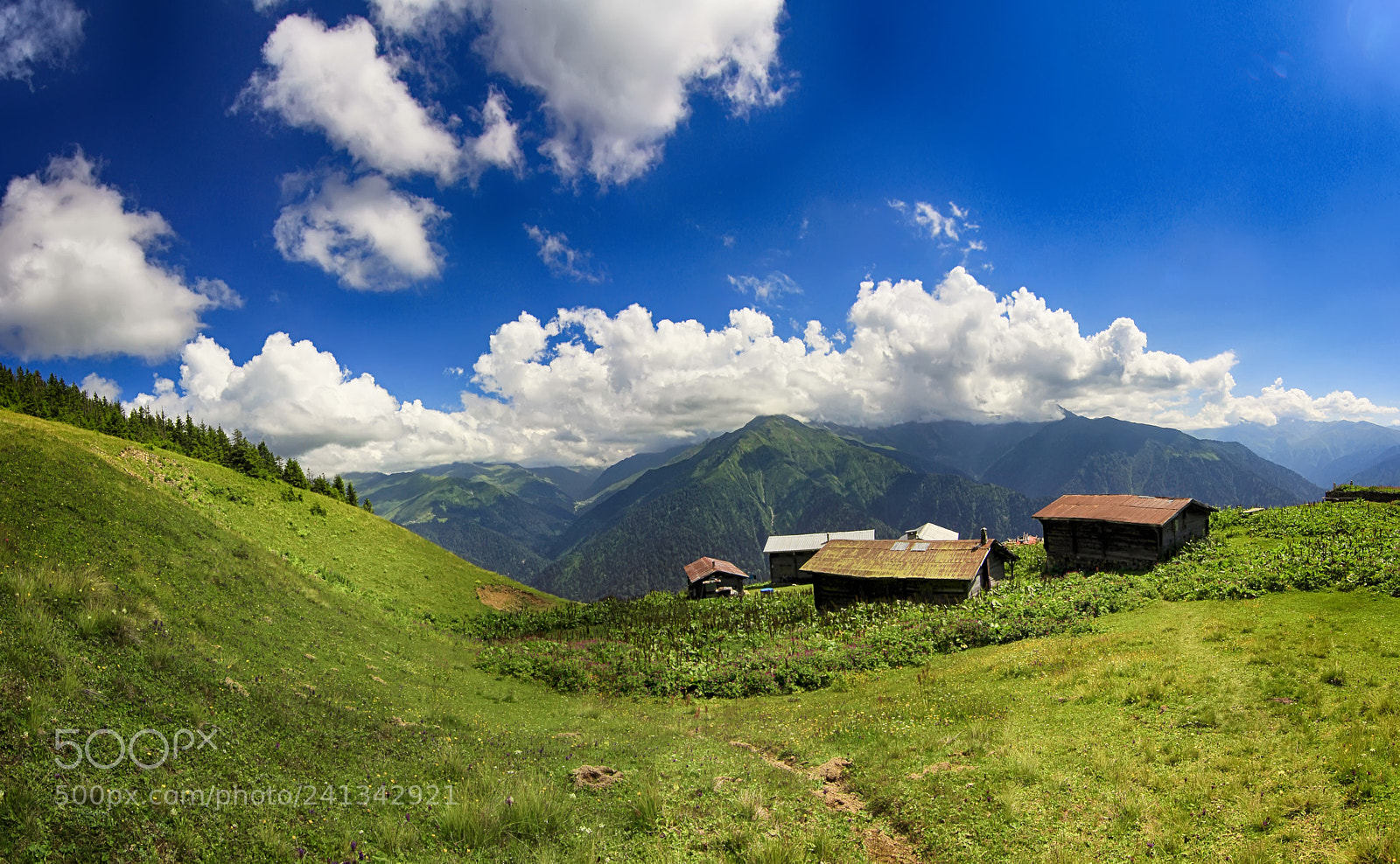 Canon EOS 60D sample photo. Pokut plateu photography