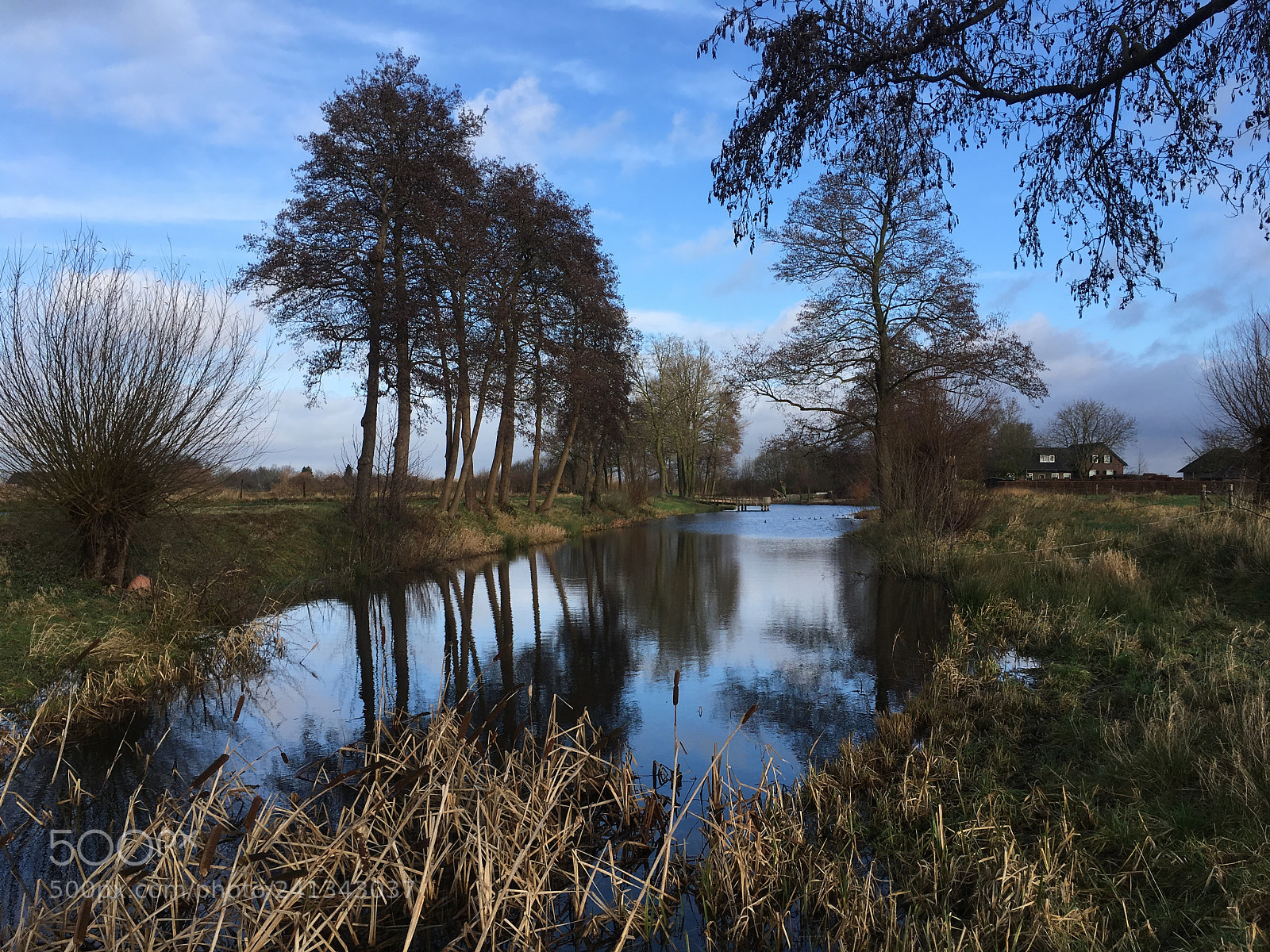 Apple iPhone SE sample photo. Nature of holland.!! photography