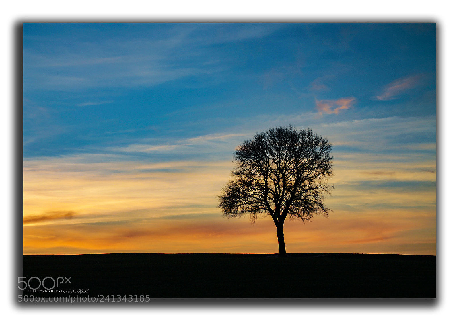 Canon EOS 1100D (EOS Rebel T3 / EOS Kiss X50) sample photo. - lonely tree - photography