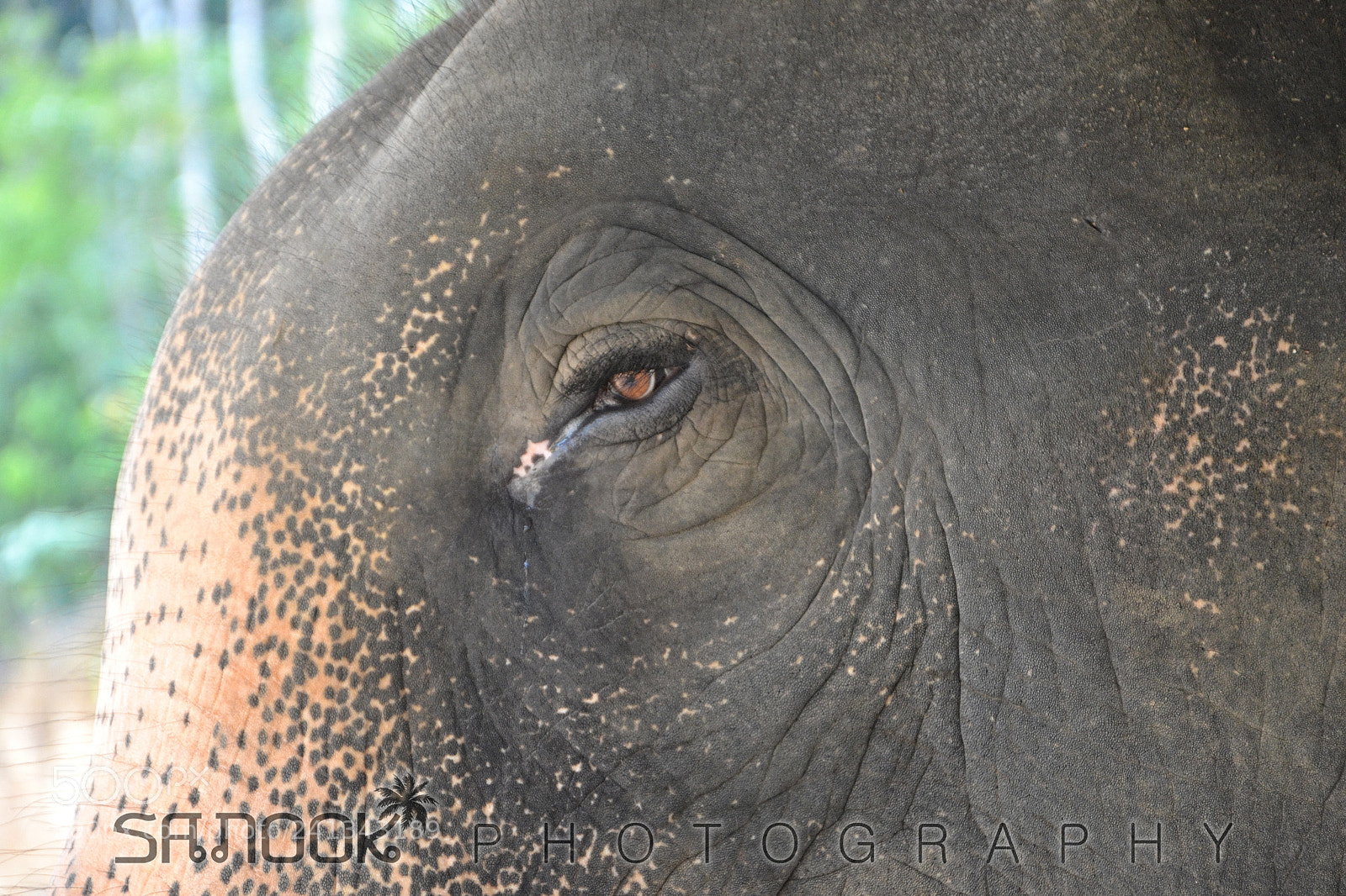 Nikon D3100 sample photo. All univers in your photography