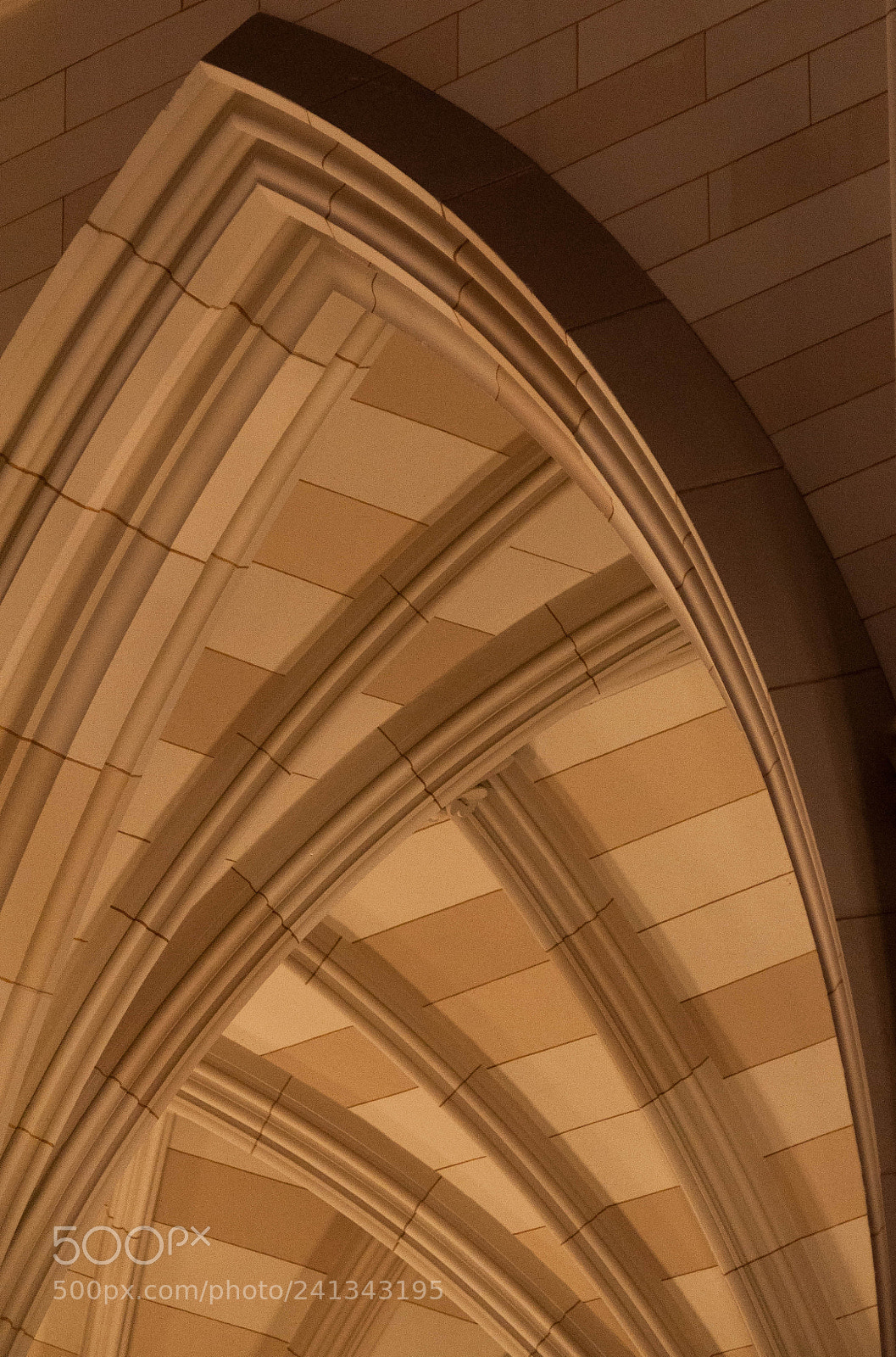 Nikon D90 sample photo. St patrick's valulted ceiling photography