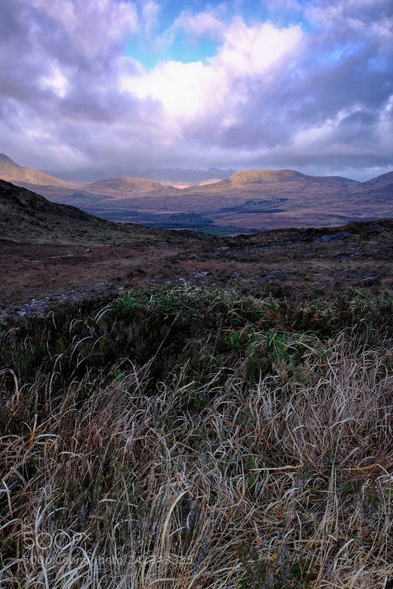Fujifilm X-T2 sample photo. Kerry way looking to photography