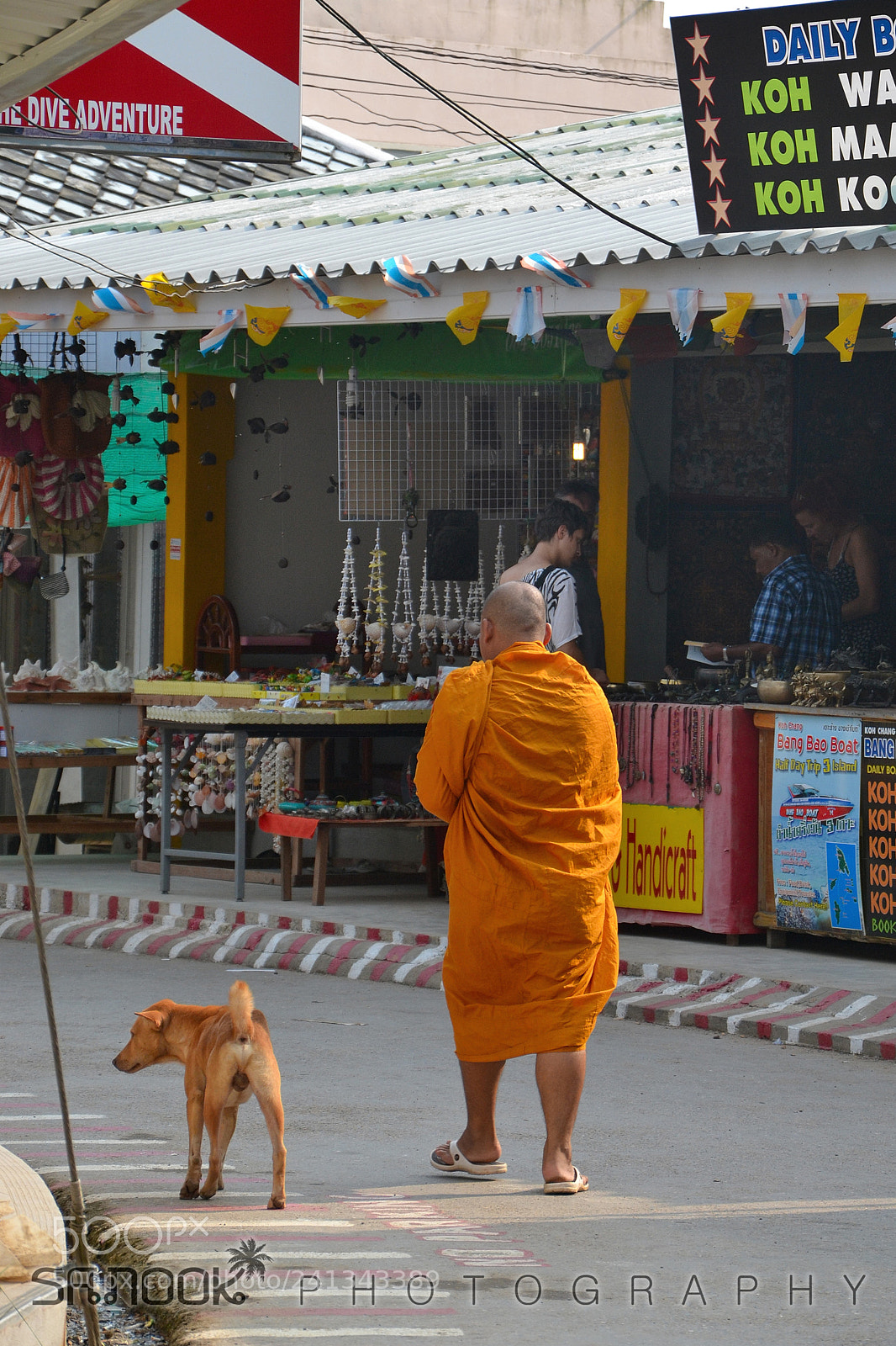 Nikon D3100 sample photo. Monk & dog photography