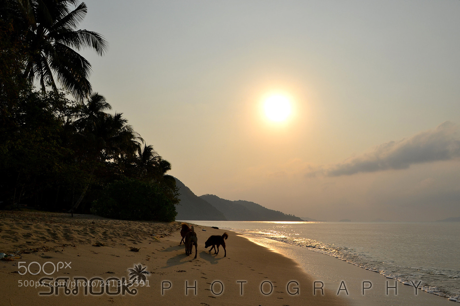 Nikon D3100 sample photo. Klong kloï sunrise photography