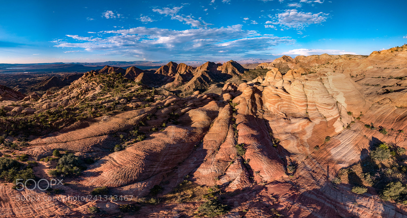 DJI FC220 sample photo. Yant flat photography