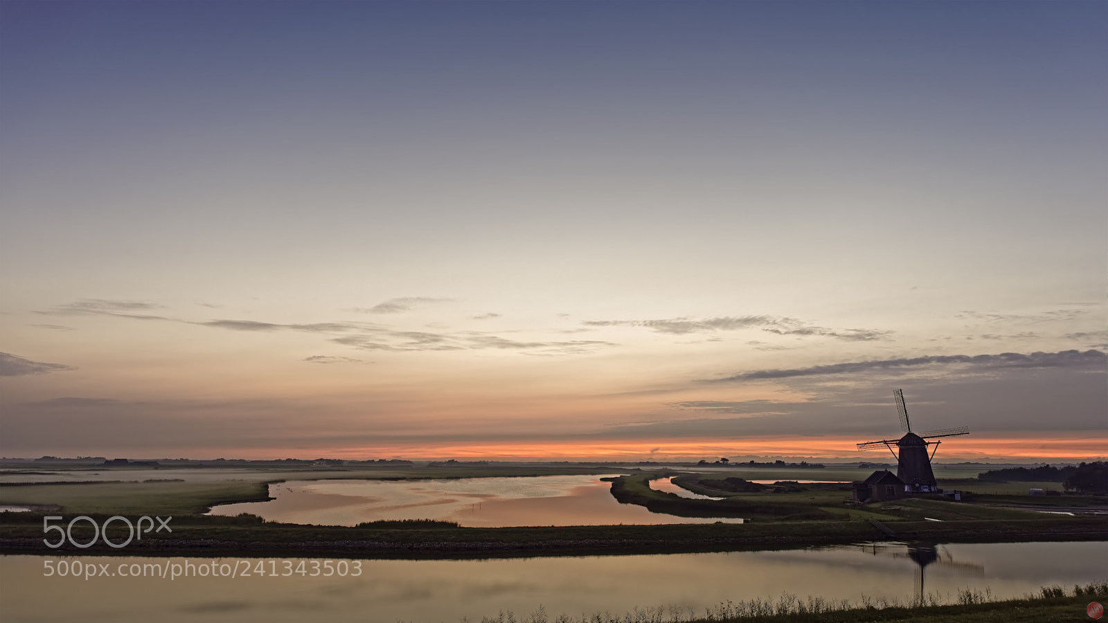 Olympus PEN-F sample photo. Texel beauty photography