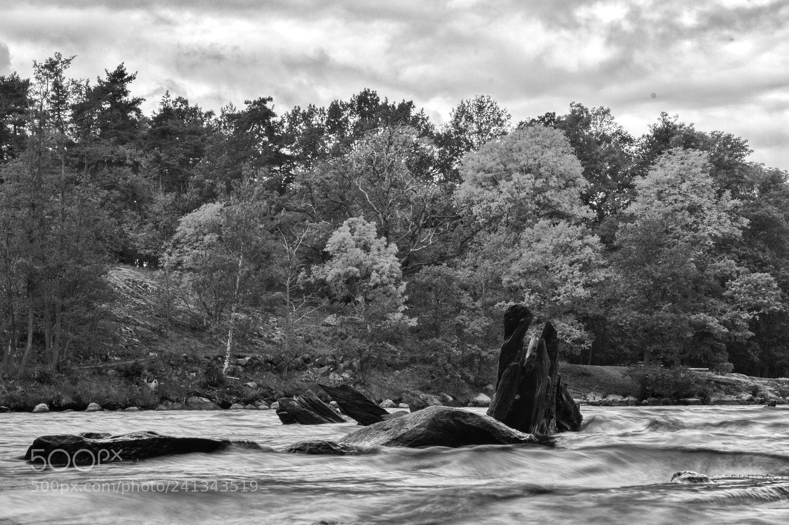 Canon EOS 550D (EOS Rebel T2i / EOS Kiss X4) sample photo. Wreckage bw photography