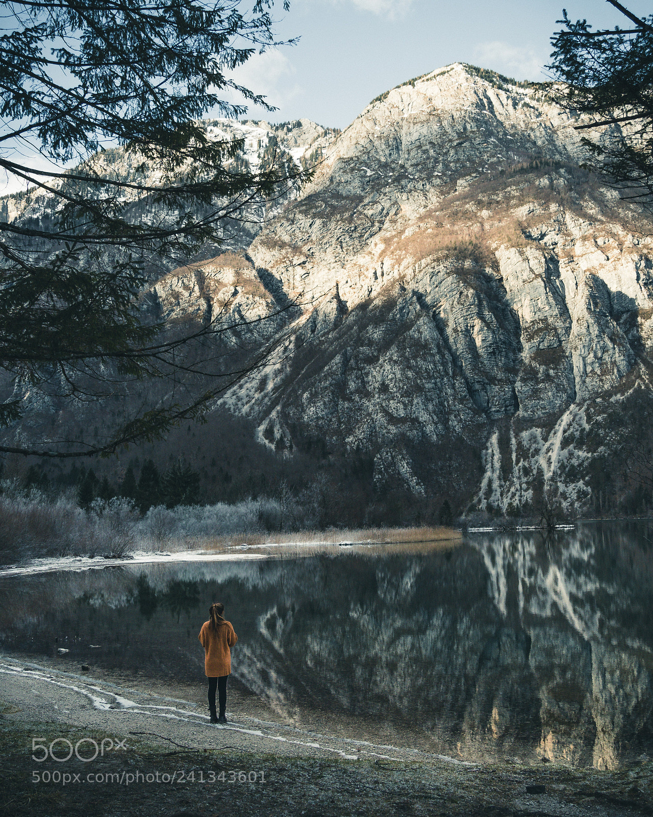 Olympus OM-D E-M1 Mark II sample photo. Lake bohinj. photography