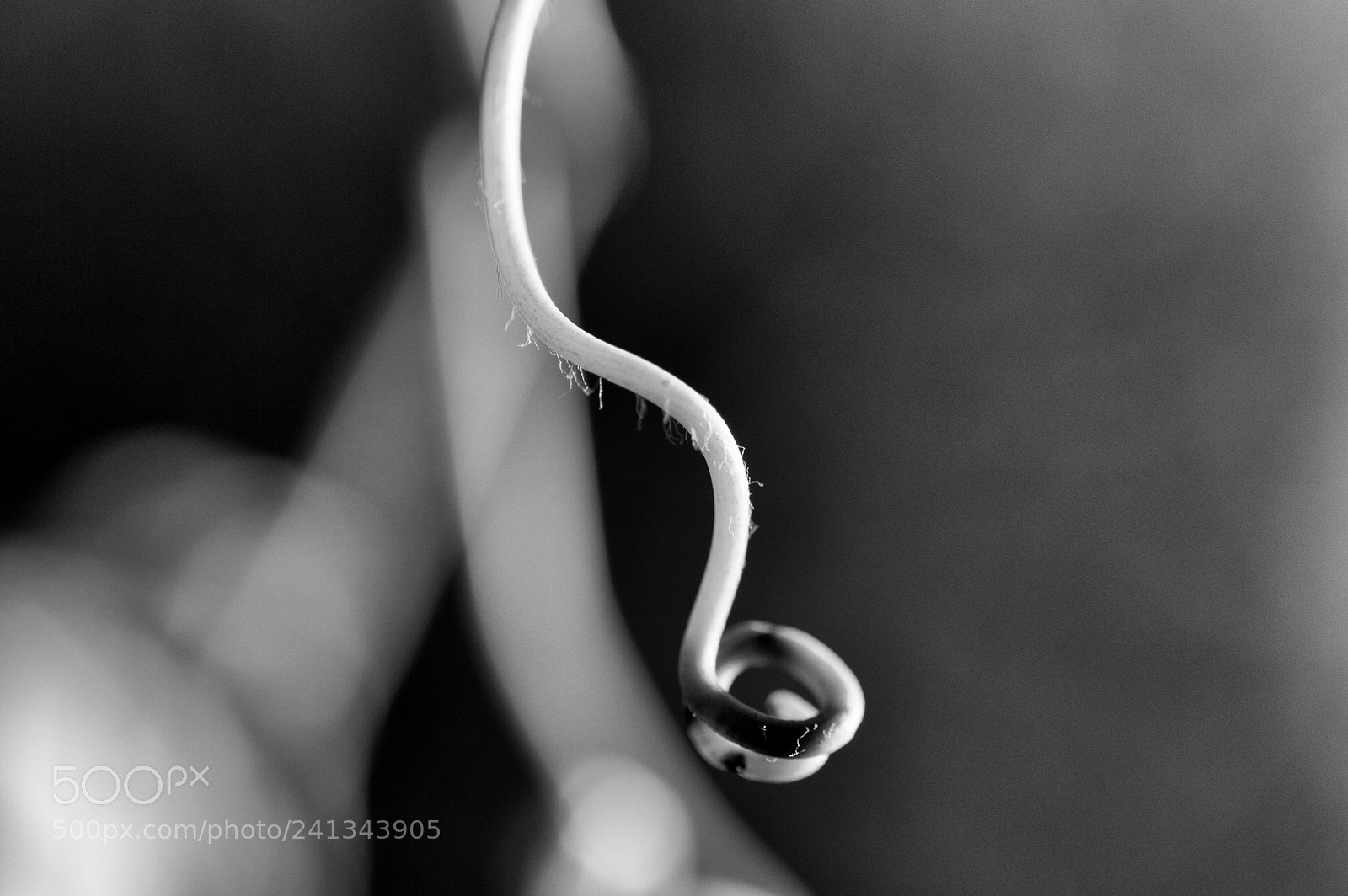 Nikon D3200 sample photo. Abstract in black and photography