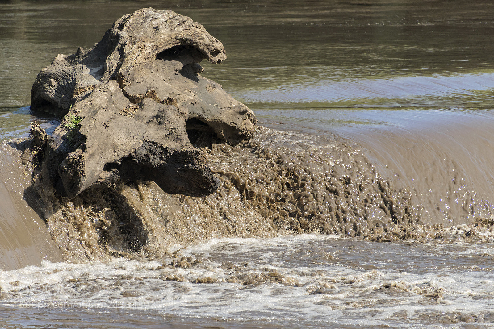Nikon D810 sample photo. Wood and water photography