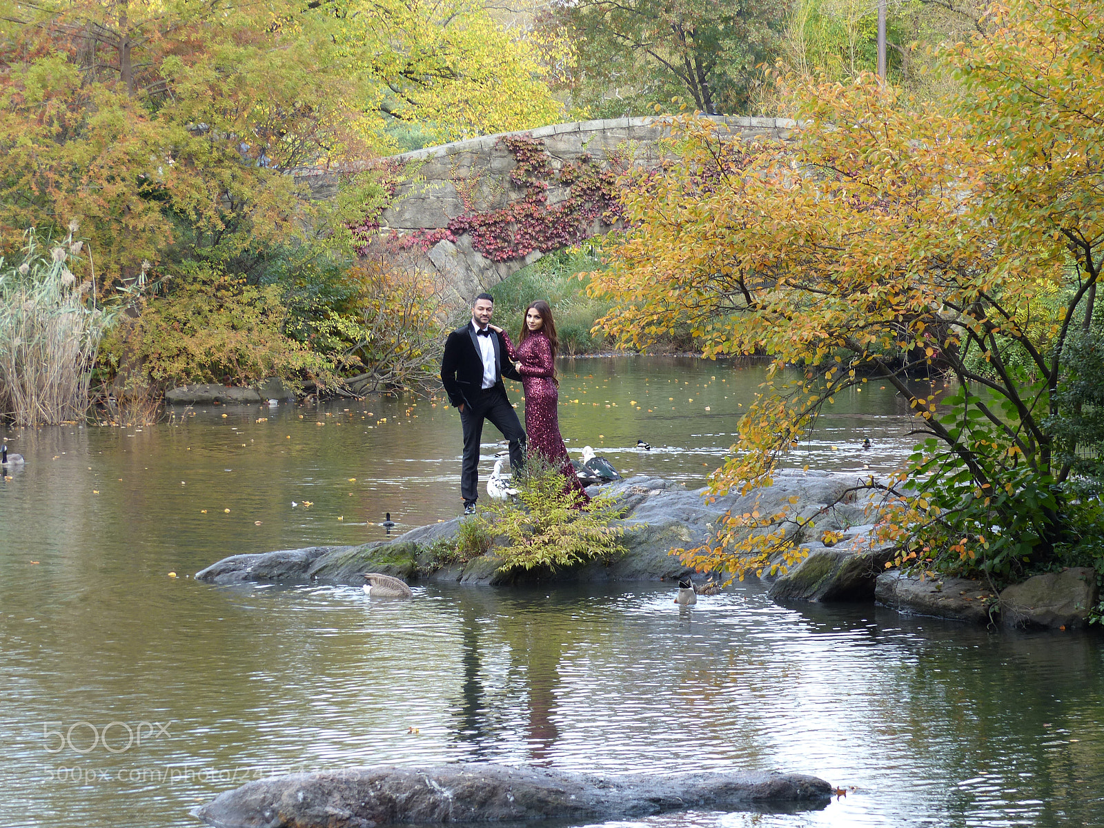Panasonic Lumix DMC-FZ200 sample photo. Central park photography