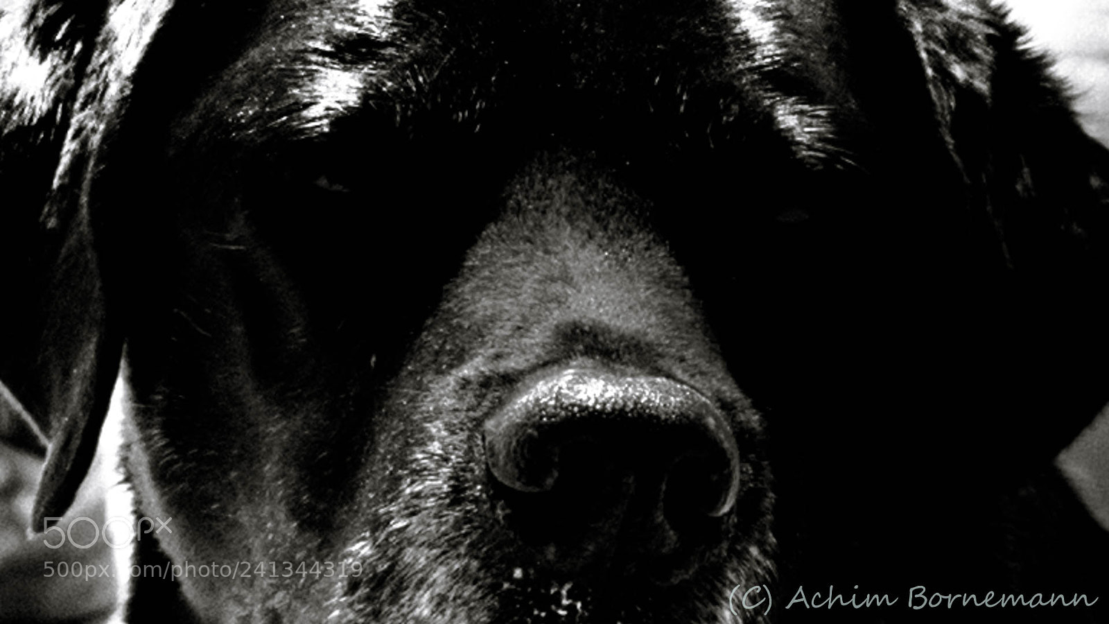 Sony SLT-A58 sample photo. Old&wise photography