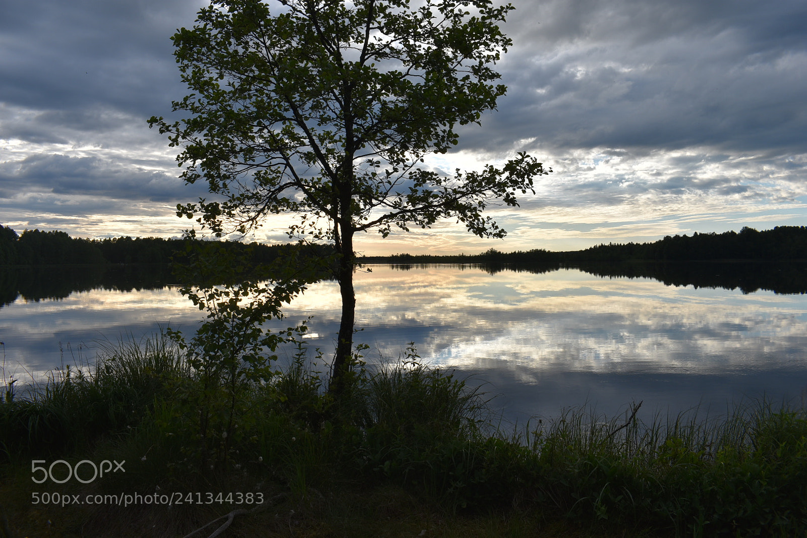 Nikon D3400 sample photo. Õhtune rabajärv photography