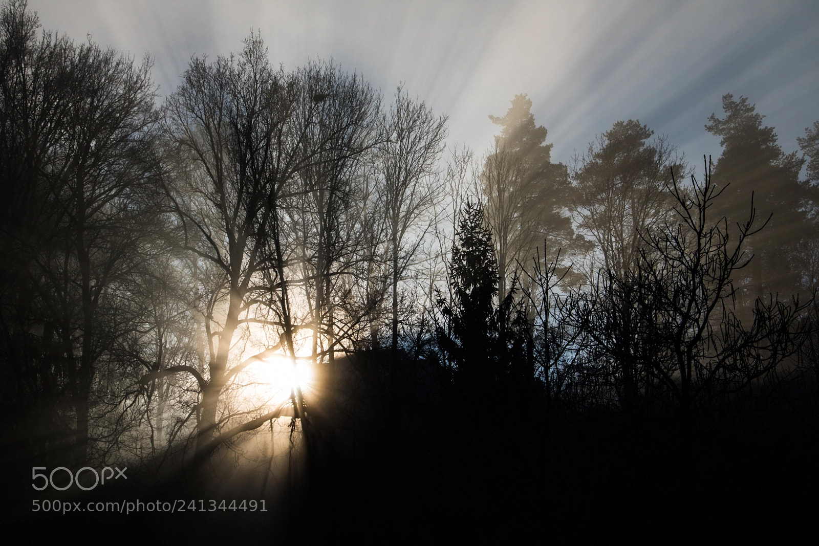 Canon EOS 750D (EOS Rebel T6i / EOS Kiss X8i) sample photo. Rays of light photography