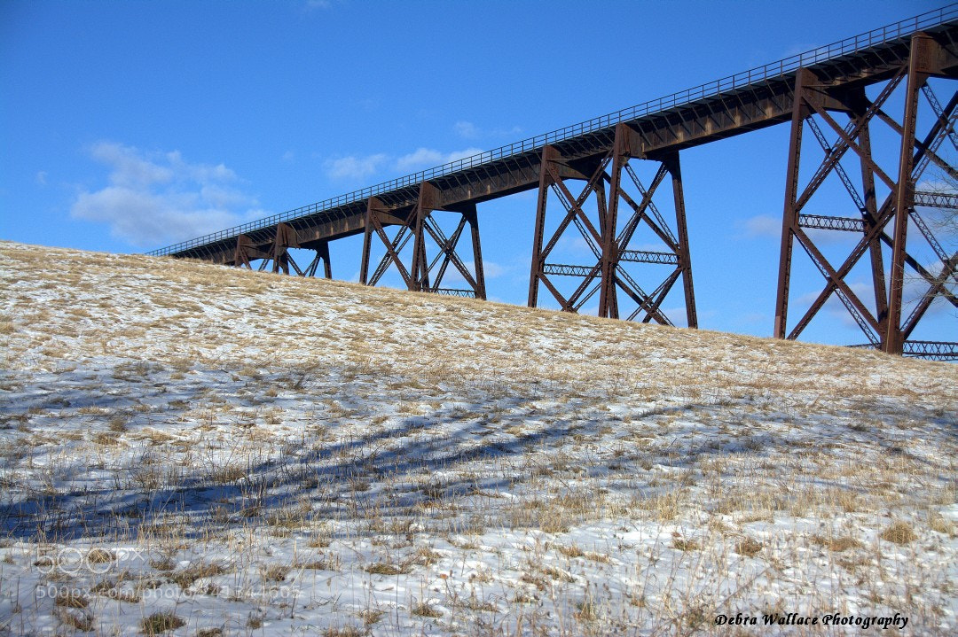 Nikon D7100 sample photo. The moodna viaduct at photography