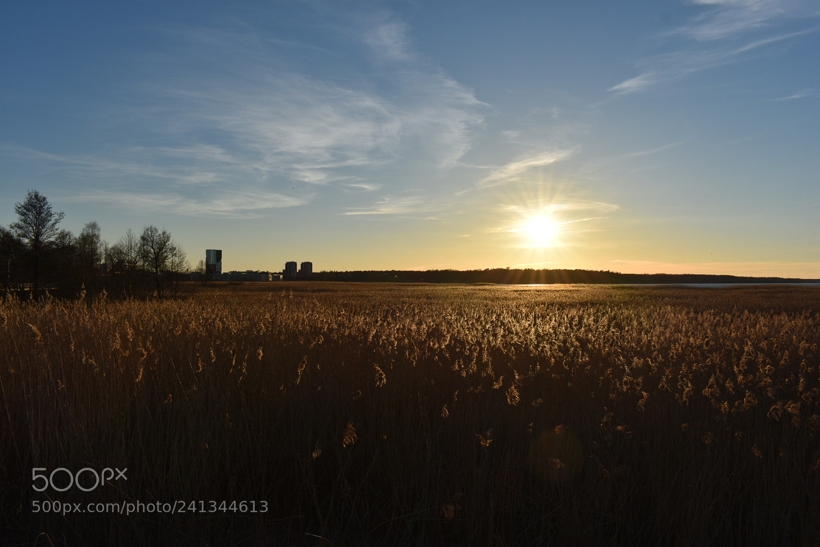 Nikon D3400 sample photo. Õhtu promenaadil photography