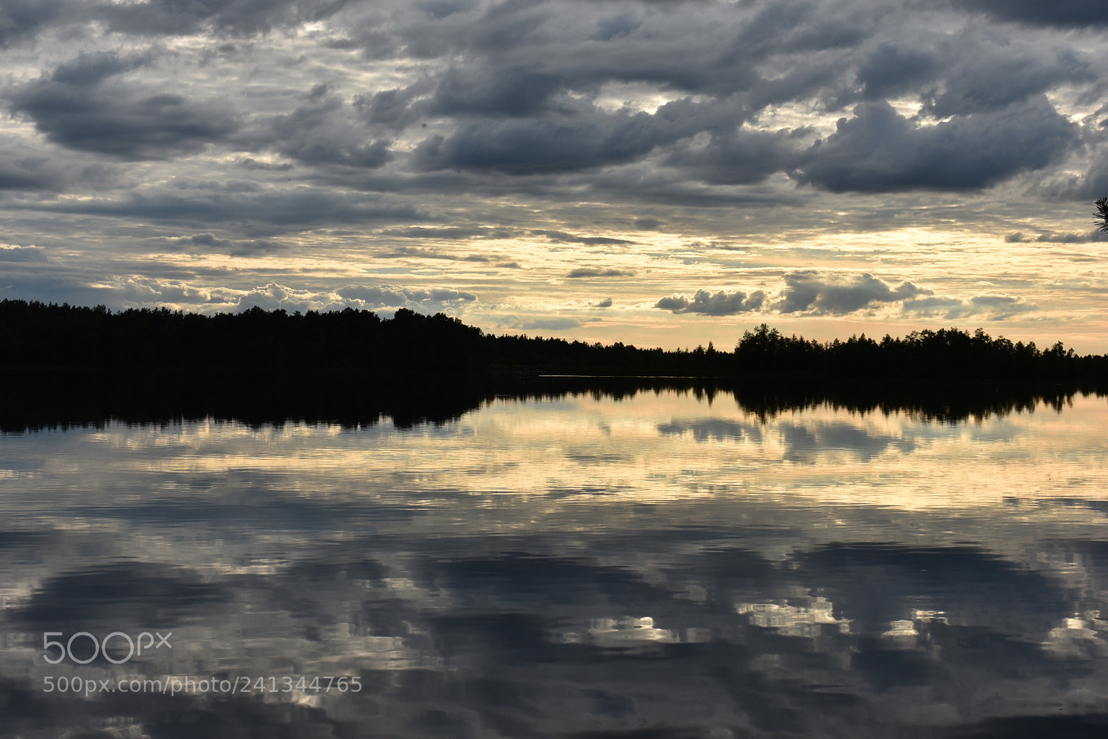 Nikon D3400 sample photo. Õhtune rabajärv ii photography