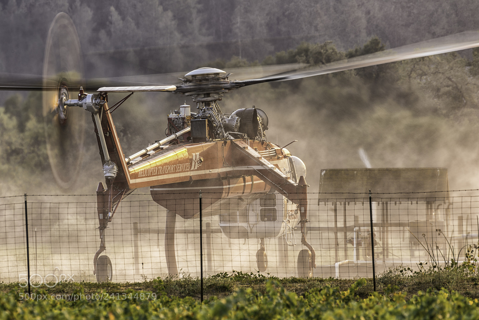 Nikon D600 sample photo. Hover photography