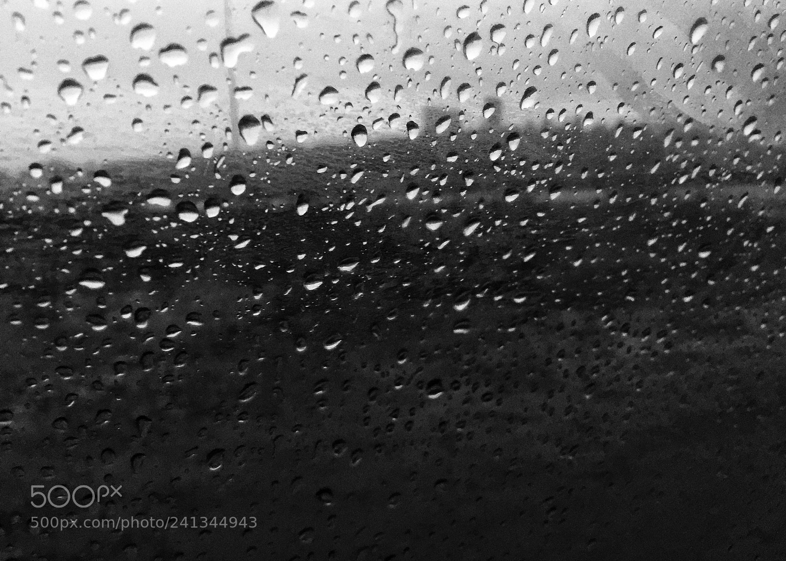 Apple iPhone 6 sample photo. Untitled photography