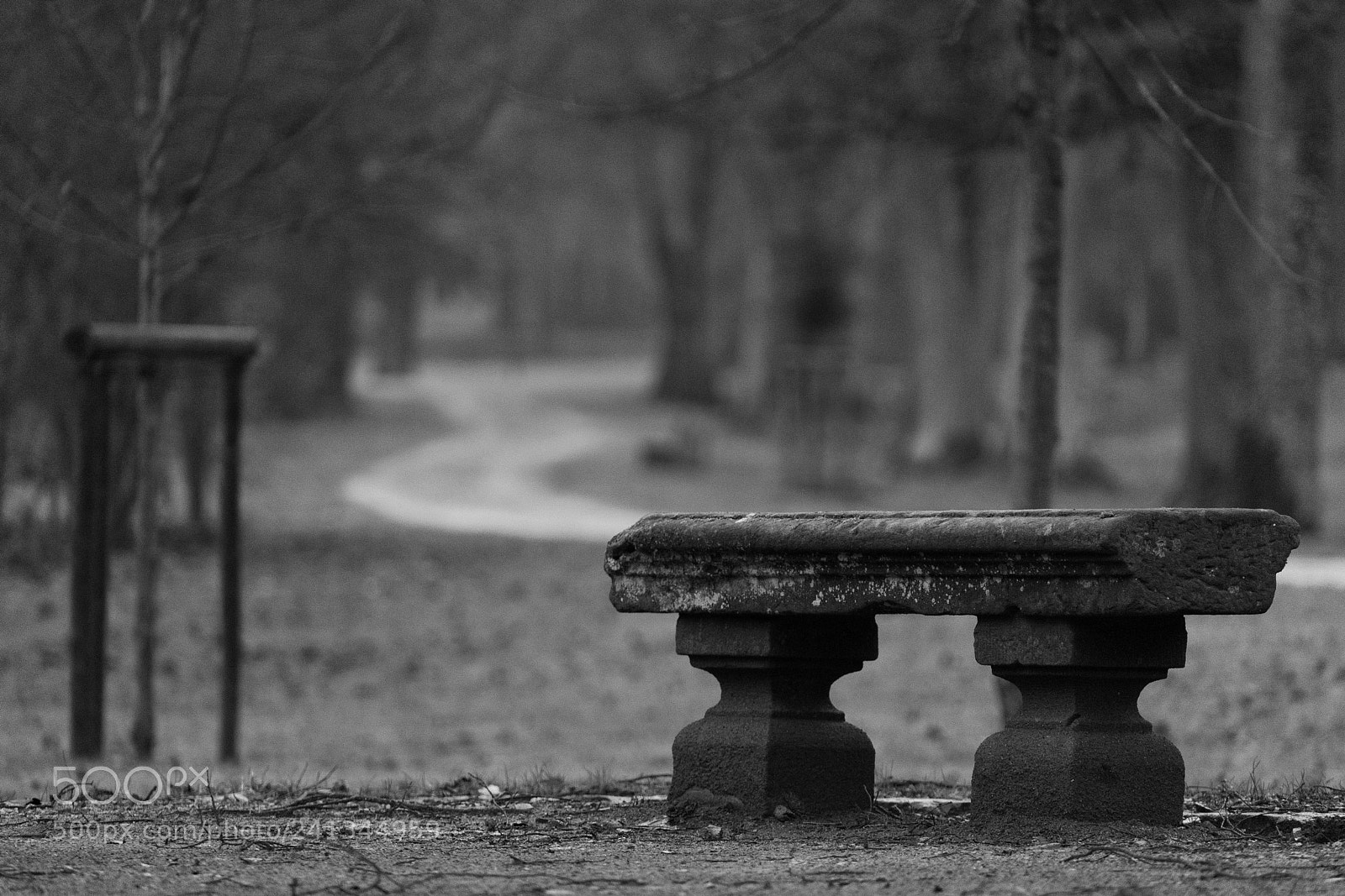 Sony a7 sample photo. Schloss adolphseck germany fulda photography