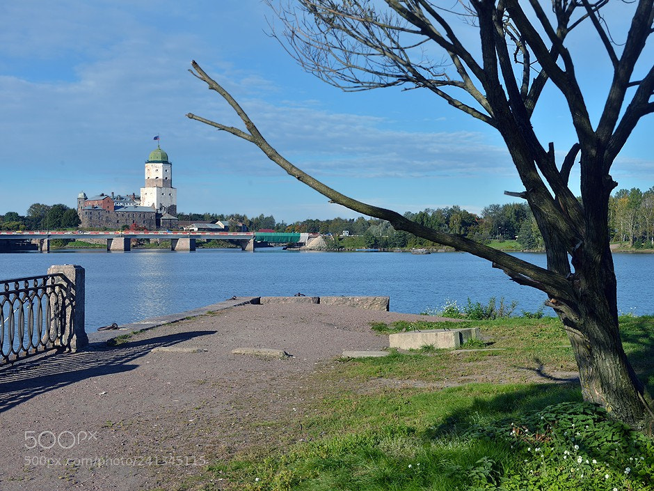 Nikon D800 sample photo. Vyborg. #16 photography