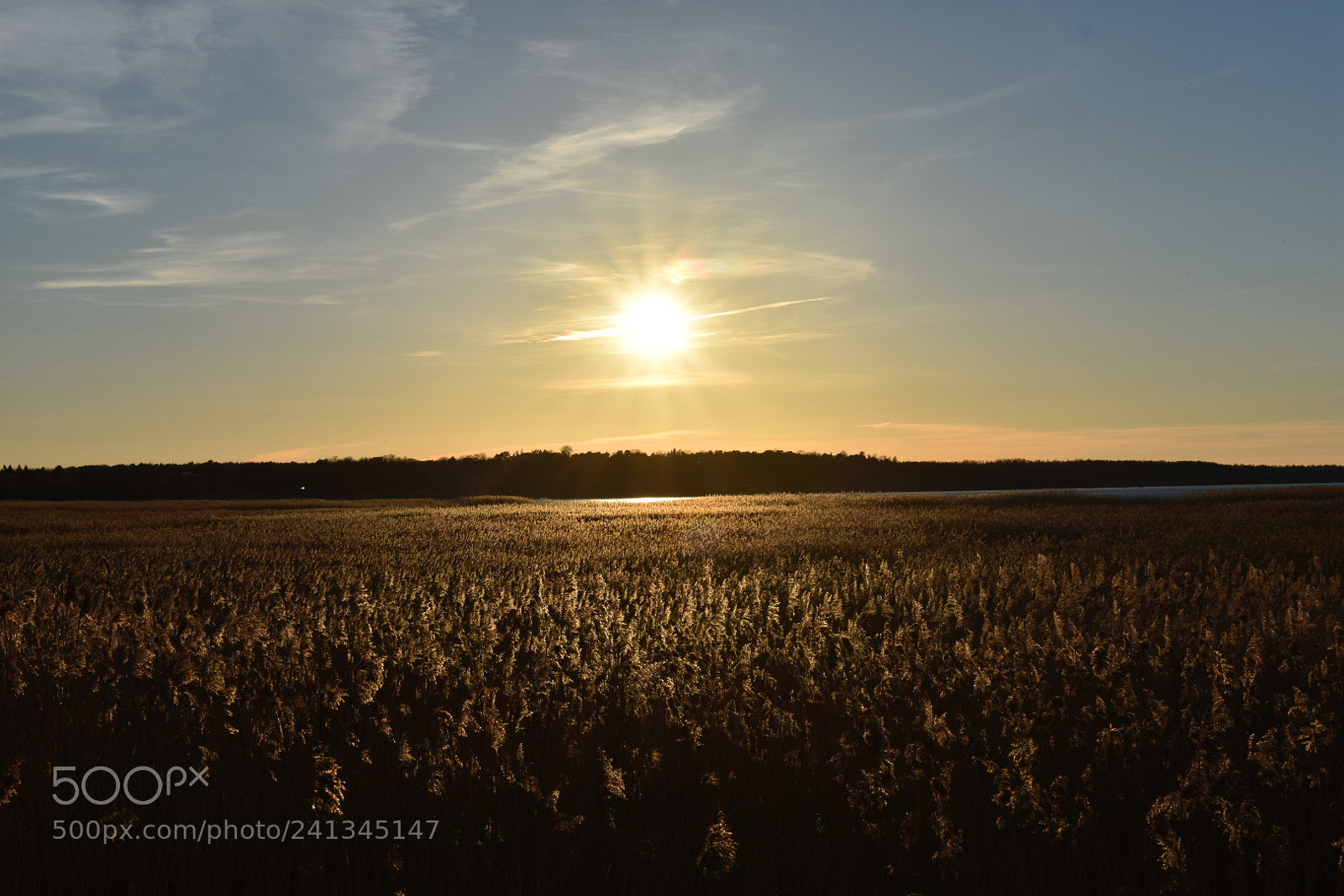 Nikon D3400 sample photo. Õhtu promenaadil ii photography