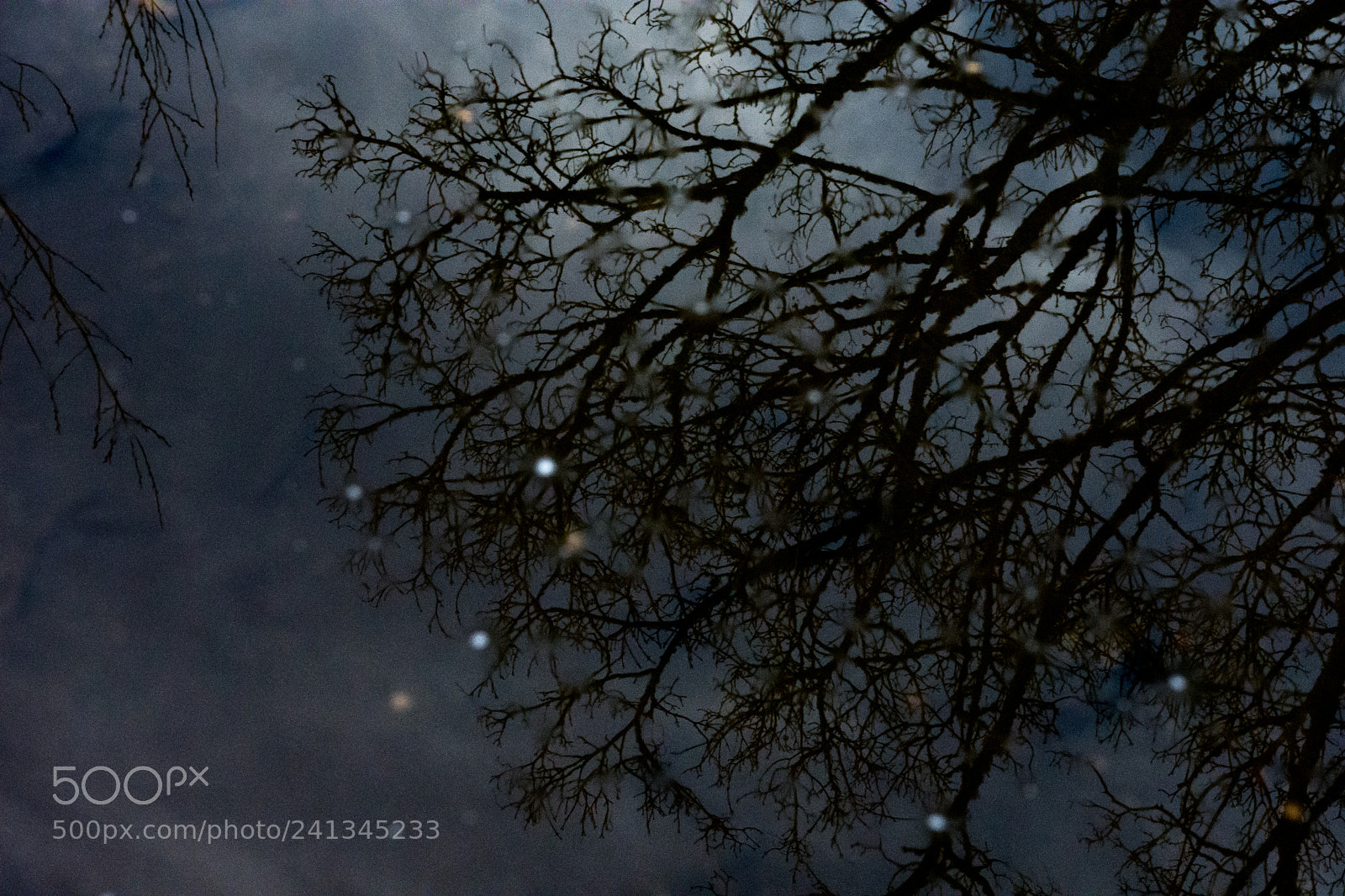 Nikon D7200 sample photo. The illusion of reflection photography
