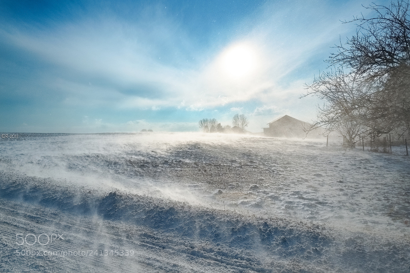 Fujifilm X-Pro1 sample photo. Fresh light photography