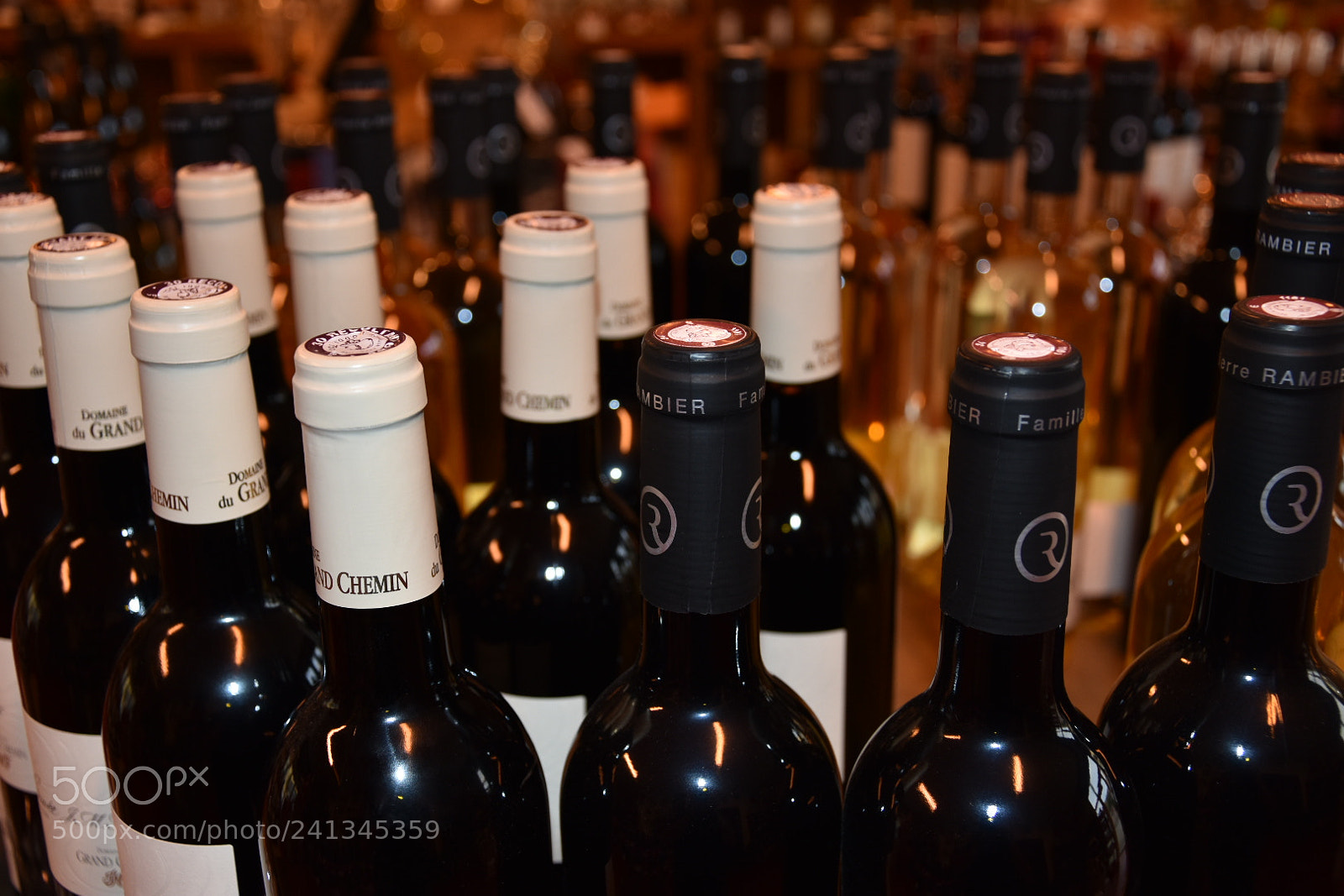 Nikon D3400 sample photo. Untitled photography