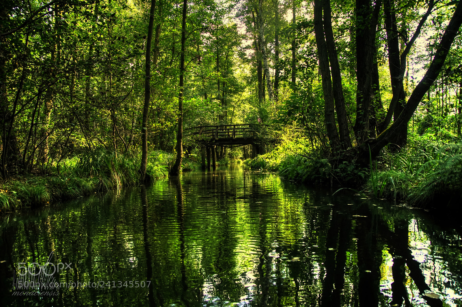 Sony ILCA-77M2 sample photo. Septonemapped photography